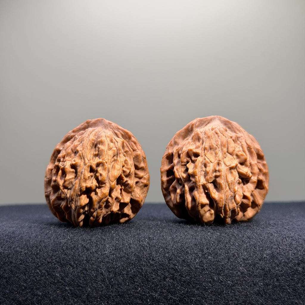 Zuo Ao Wenwan Walnut · 35mm · Natural · Entry Ritual