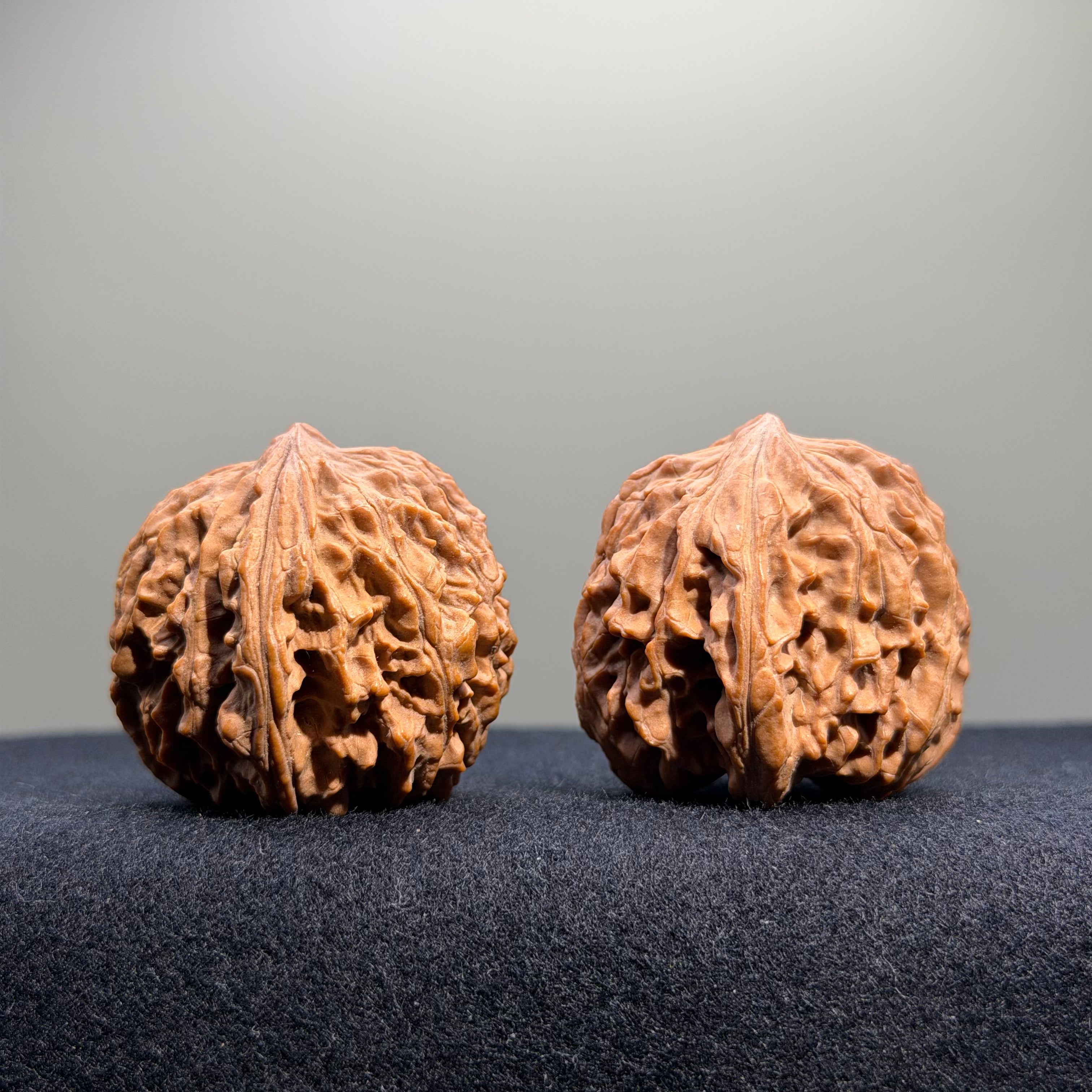 Zuo Ao Wenwan Walnut · 35mm · Natural · Entry Ritual