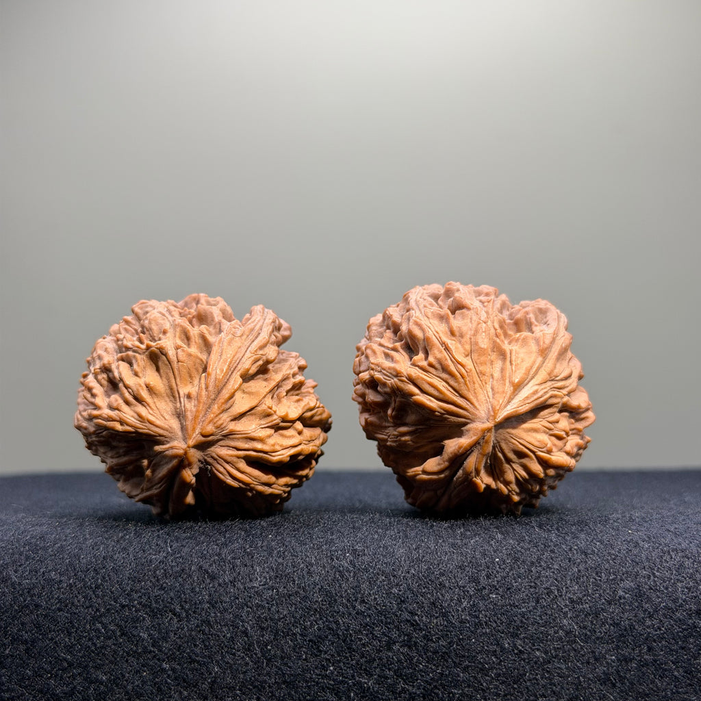 Zuo Ao Wenwan Walnut · 35mm · Natural · Entry Ritual