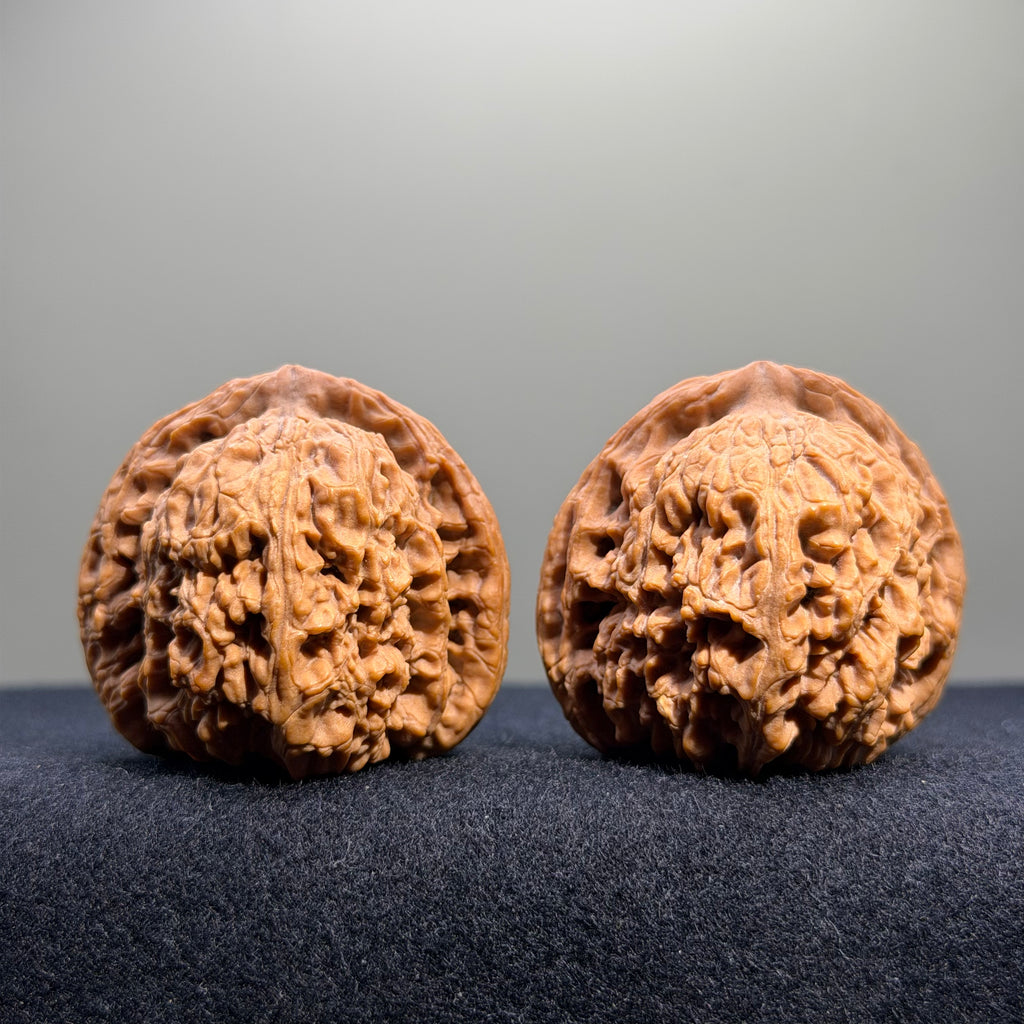 Zuo Ao Wenwan Walnut · 35mm · Natural · Entry Ritual