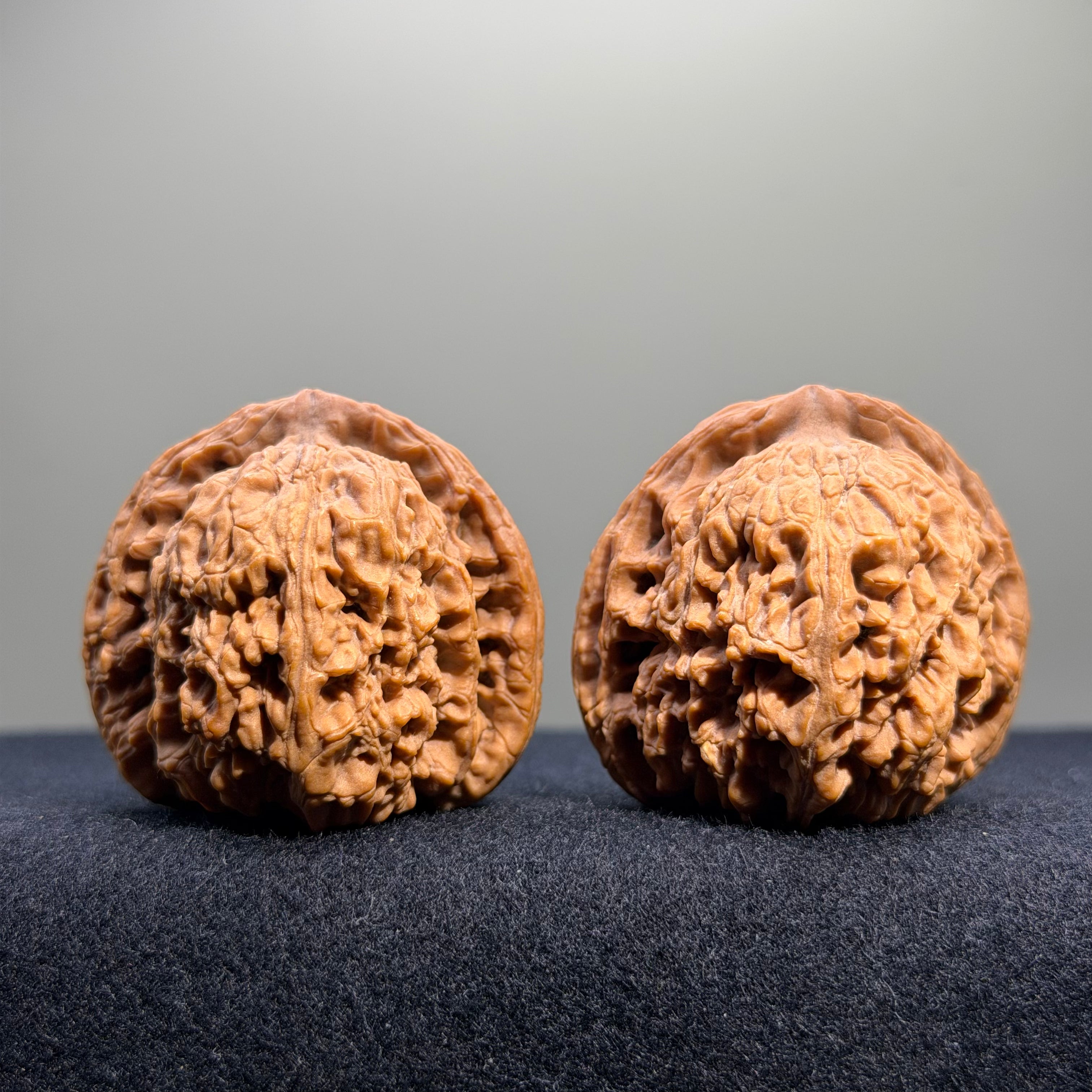 Zuo Ao Wenwan Walnut · 35mm · Natural · Entry Ritual