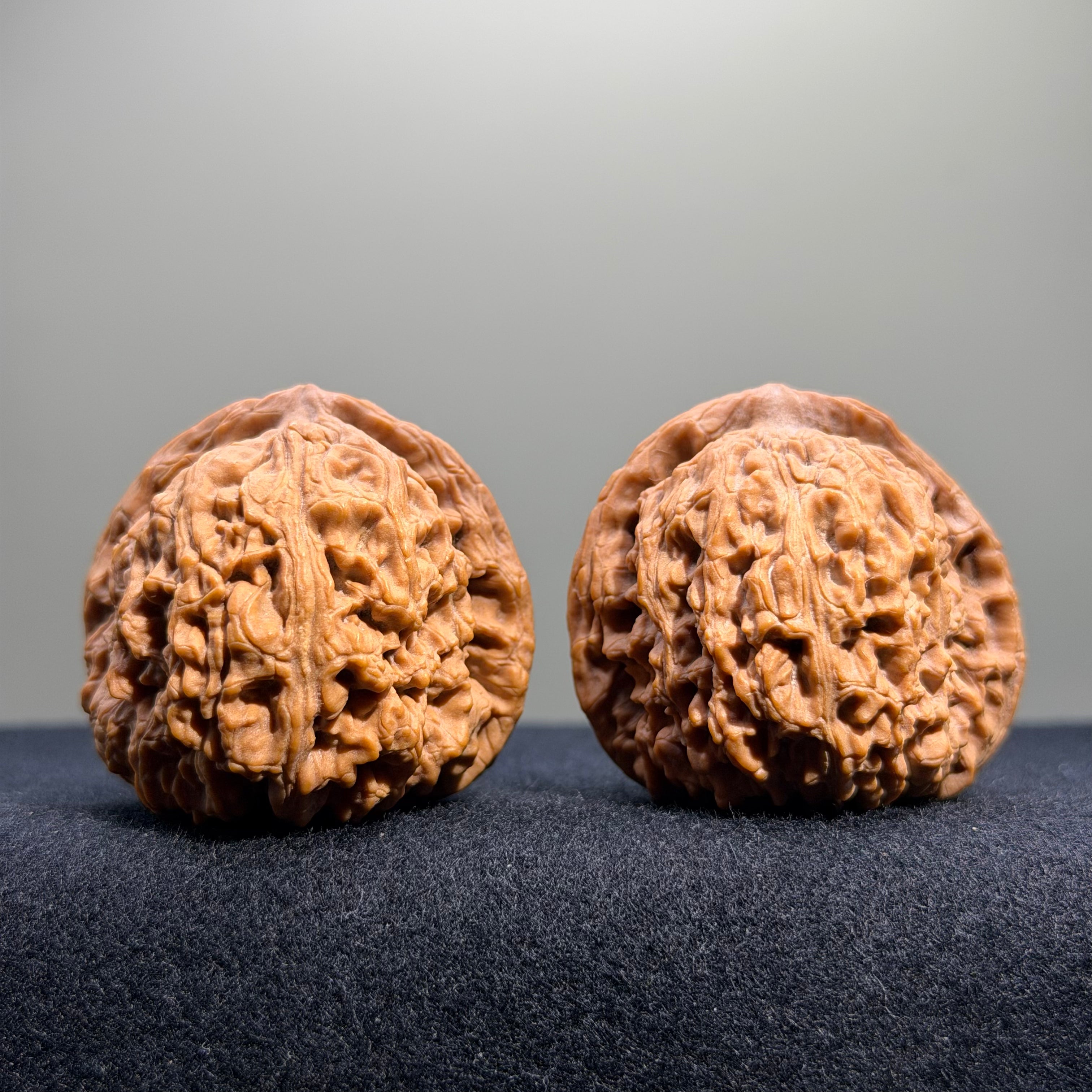 Zuo Ao Wenwan Walnut · 35mm · Natural · Entry Ritual