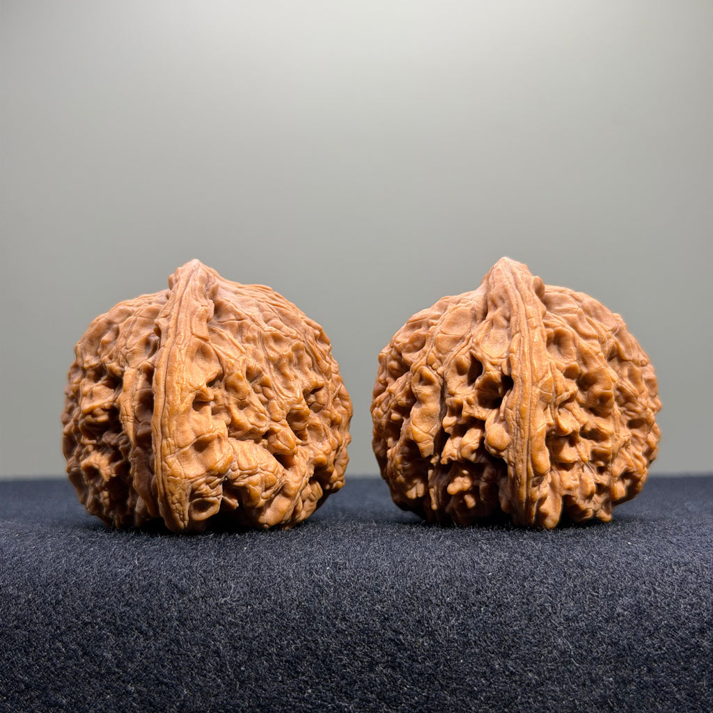 Zuo Ao Wenwan Walnut · 35mm · Natural · Entry Ritual