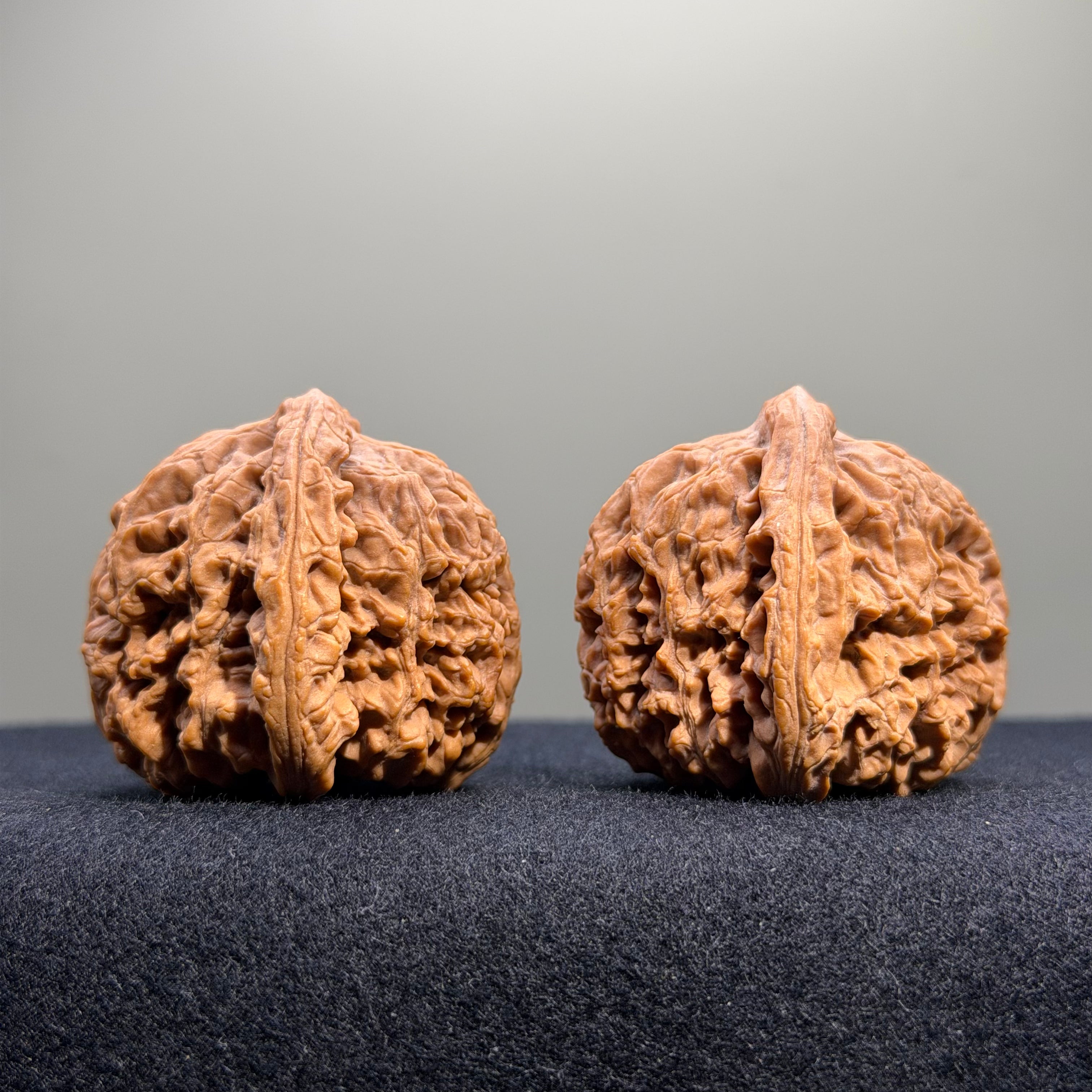 Zuo Ao Wenwan Walnut · 35mm · Natural · Entry Ritual