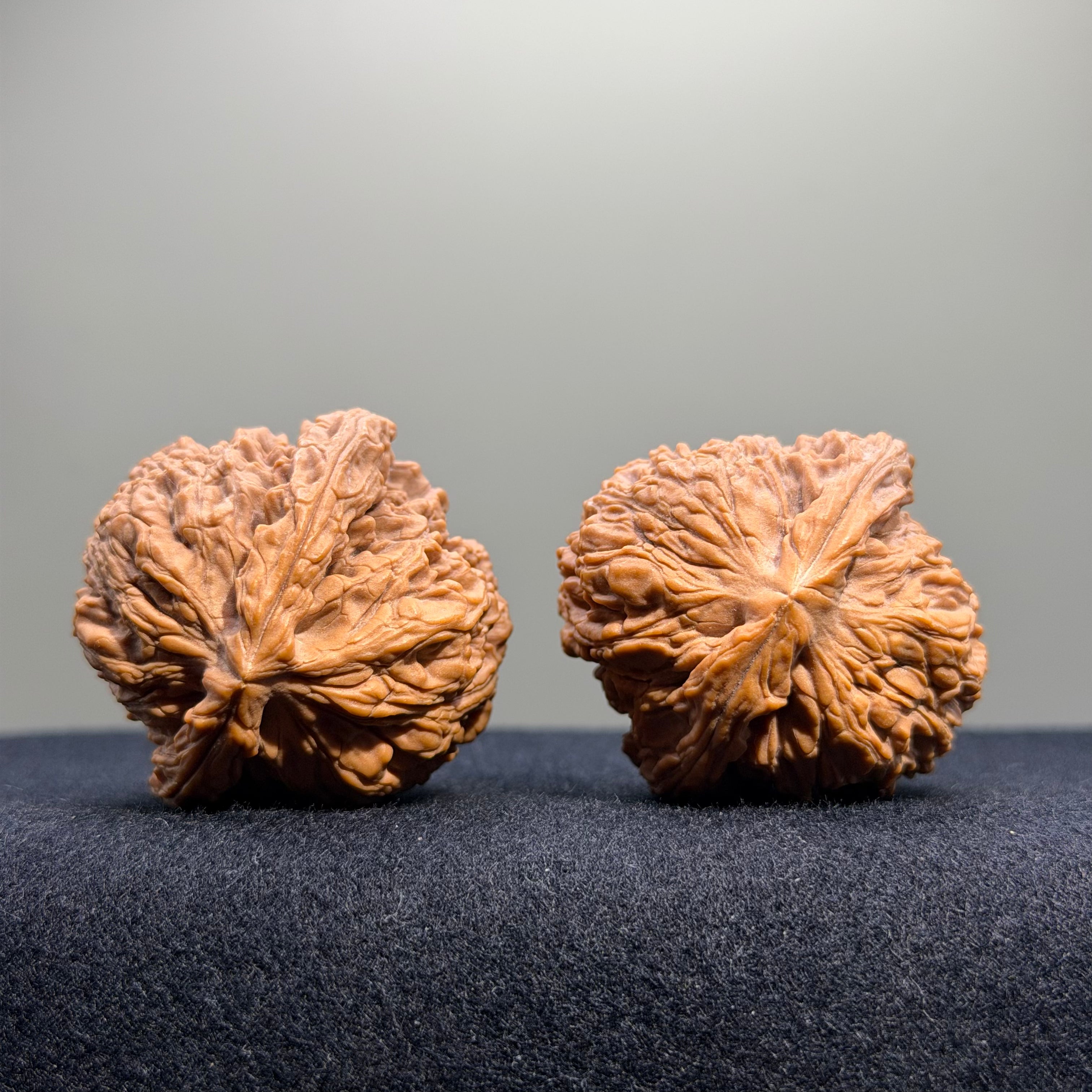 Zuo Ao Wenwan Walnut · 35mm · Natural · Entry Ritual