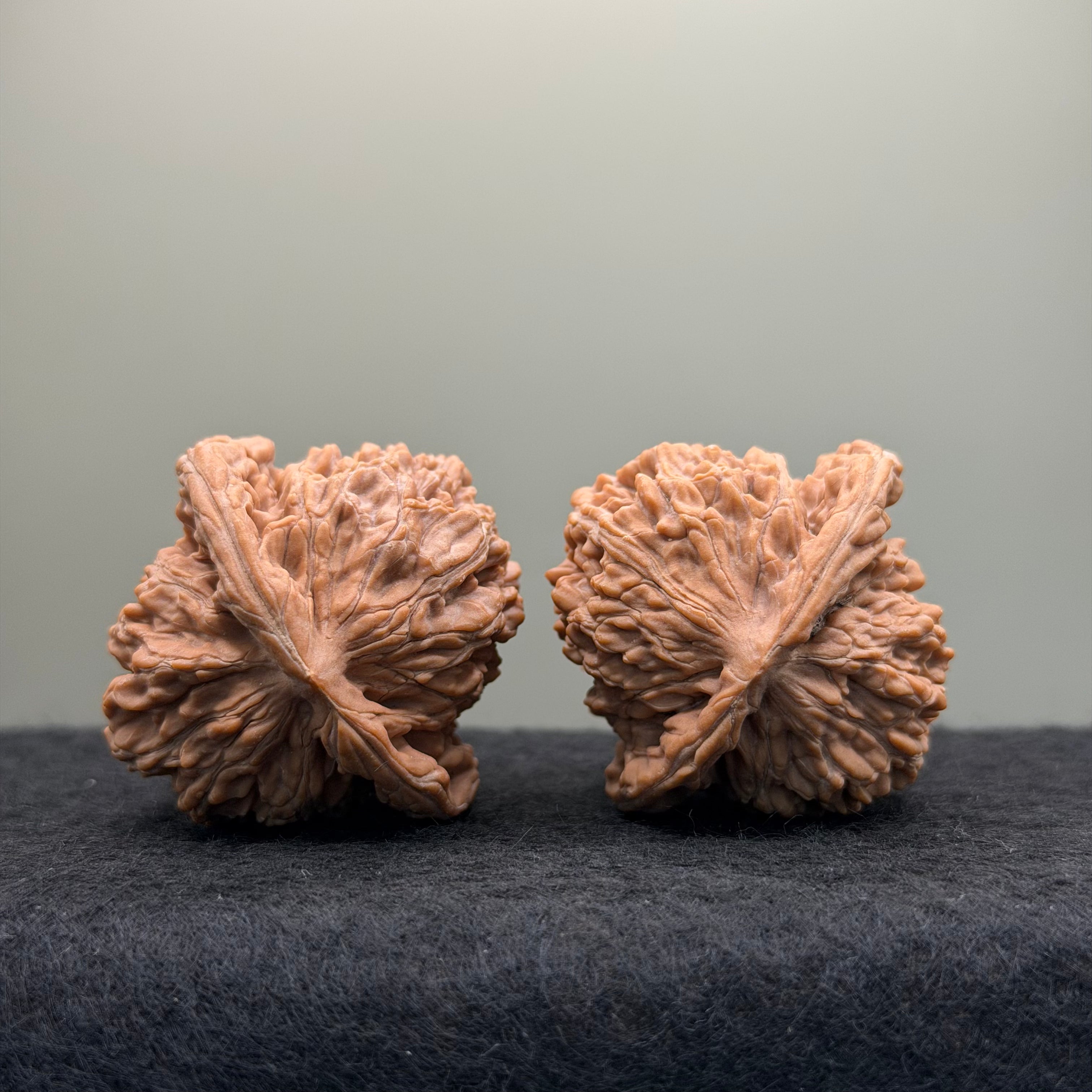 Sizuolou Lion Head Wenwan Walnut