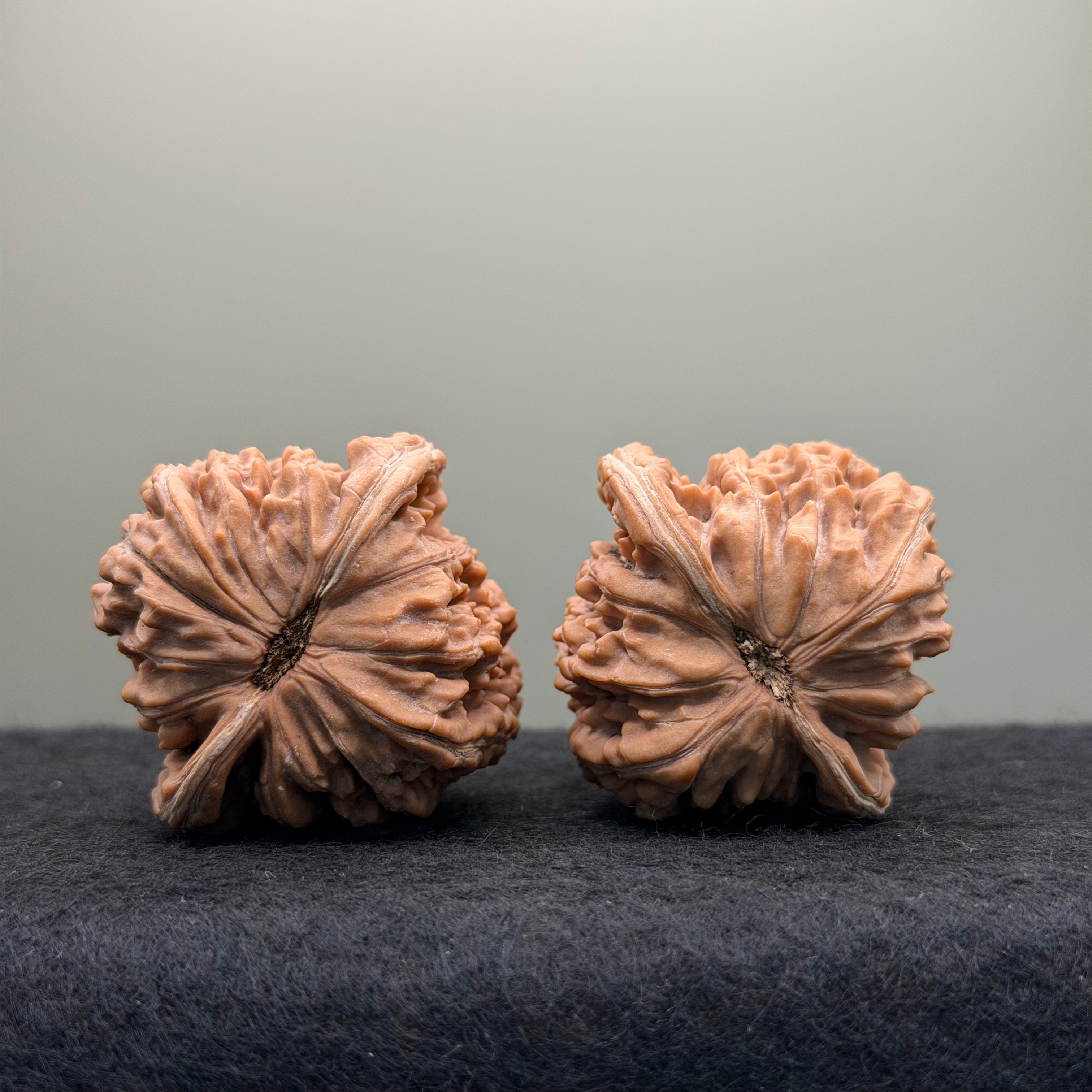 Four Towers Wenwan Walnut