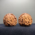 Nanjiang Stone Wenwan Walnut · 40mm · Natural · Premium Ritual
