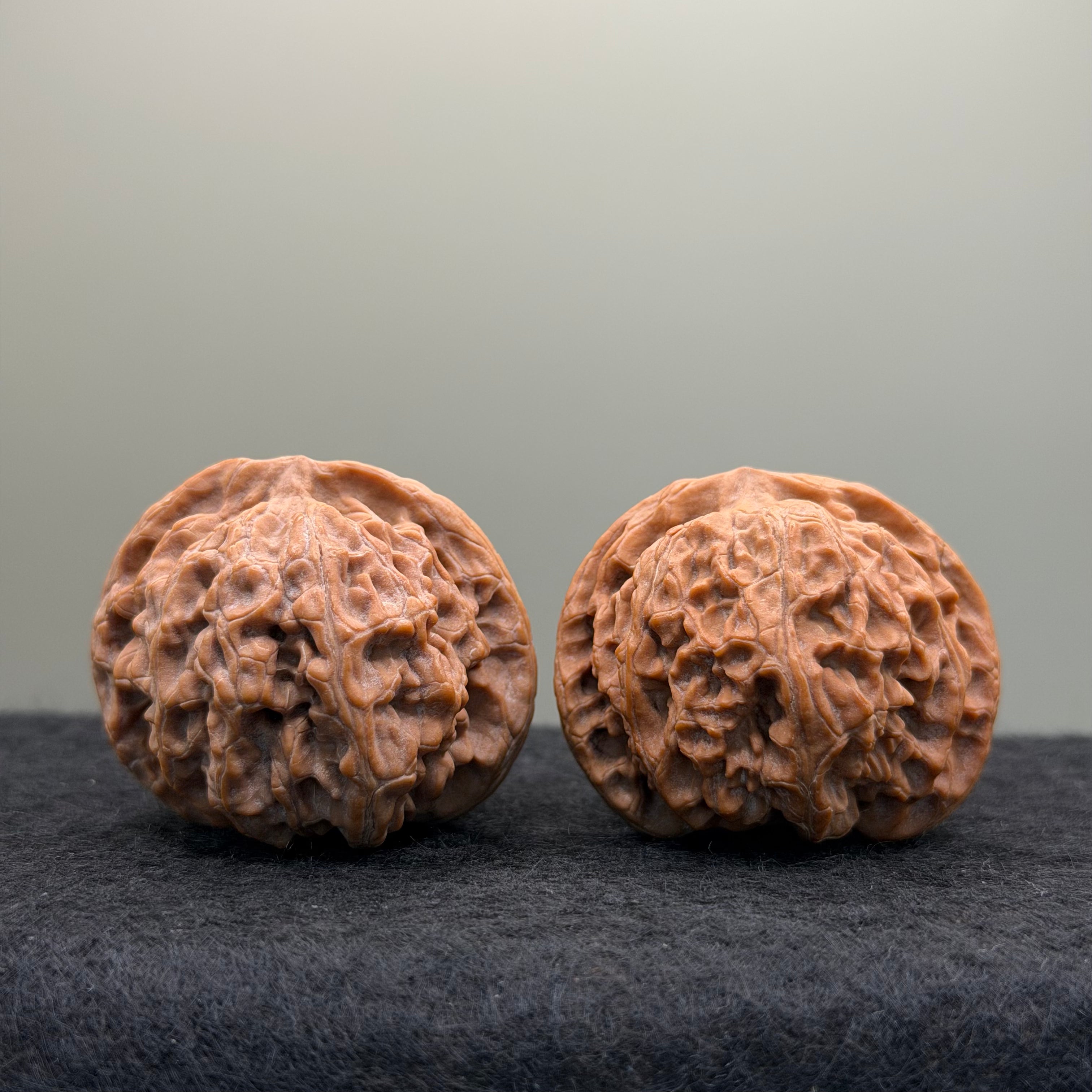 Apple Orchard Lion Head Wenwan Walnut