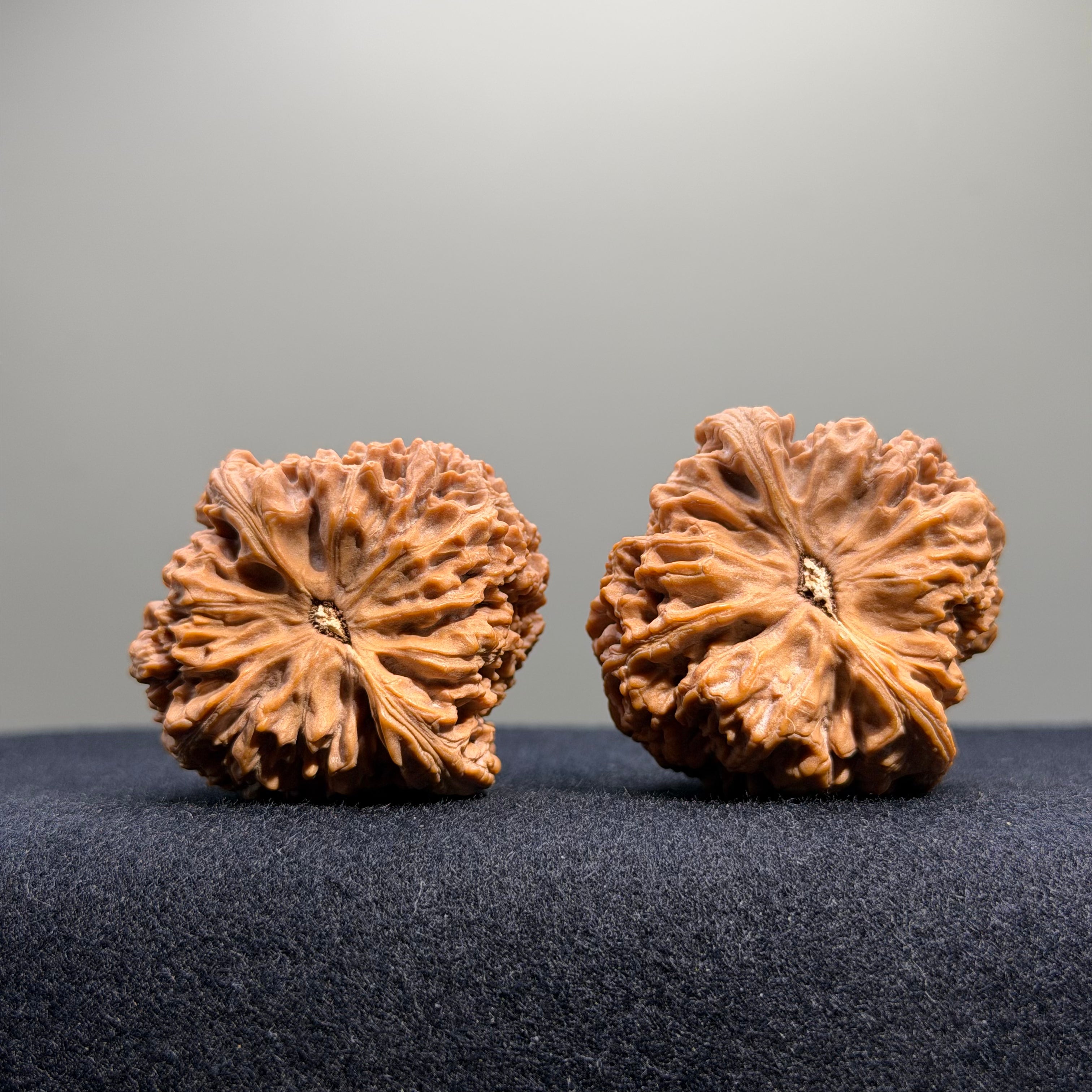 Nanjiang Stone Wenwan Walnut · 40mm · Natural · Premium Ritual