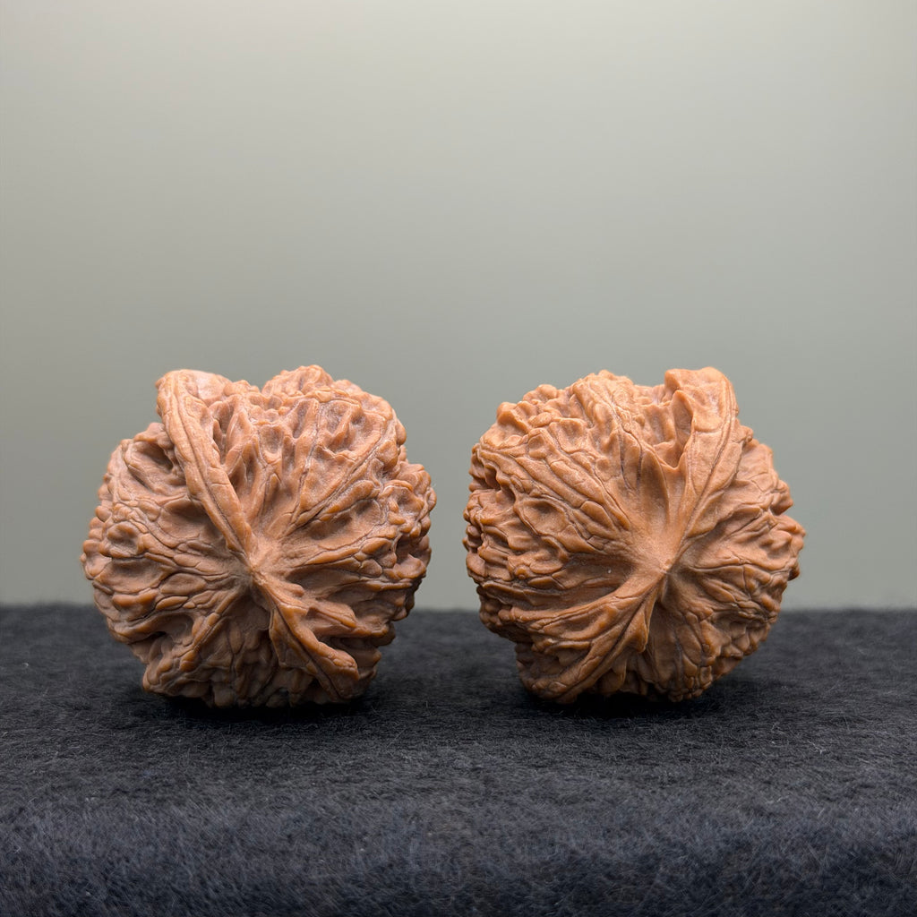 Apple Orchard Lion Head Wenwan Walnut