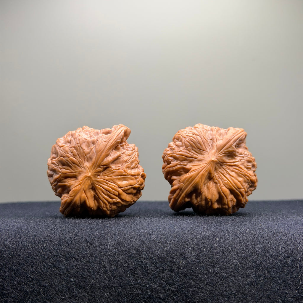 War Drum Wenwan Walnut · 41mm · Select Ritual