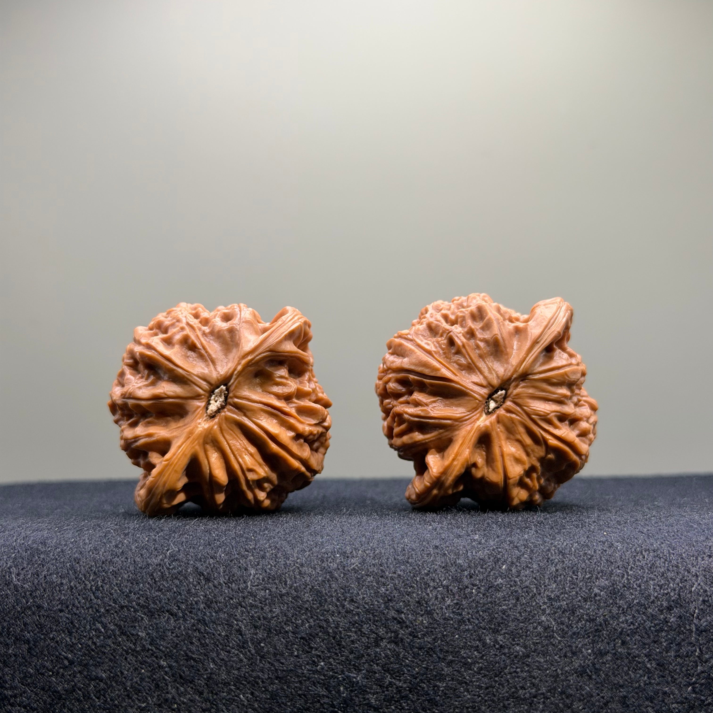 War Drum Wenwan Walnut · 41mm · Select Ritual