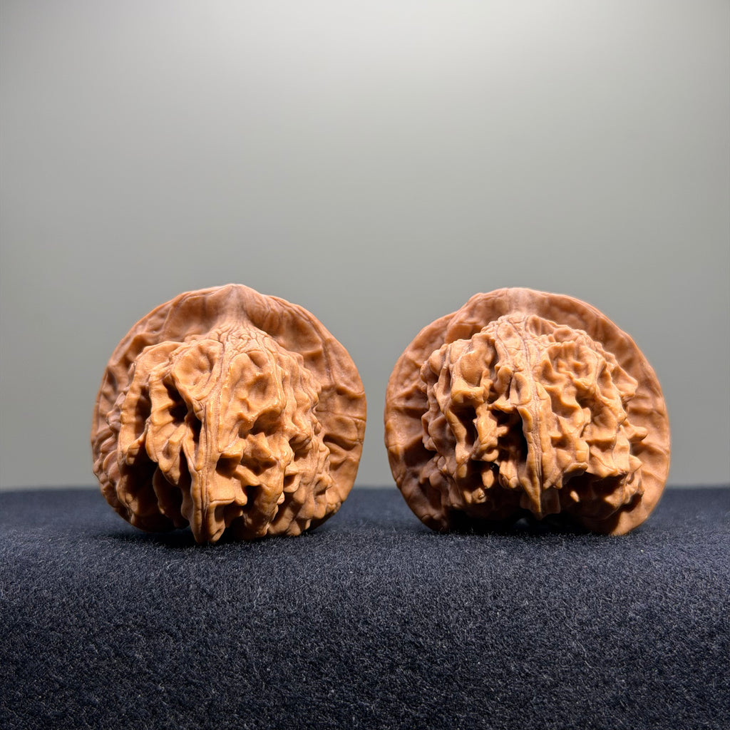 Heaven & Earth Wenwan Walnut · 40mm · Natural · Select Ritual