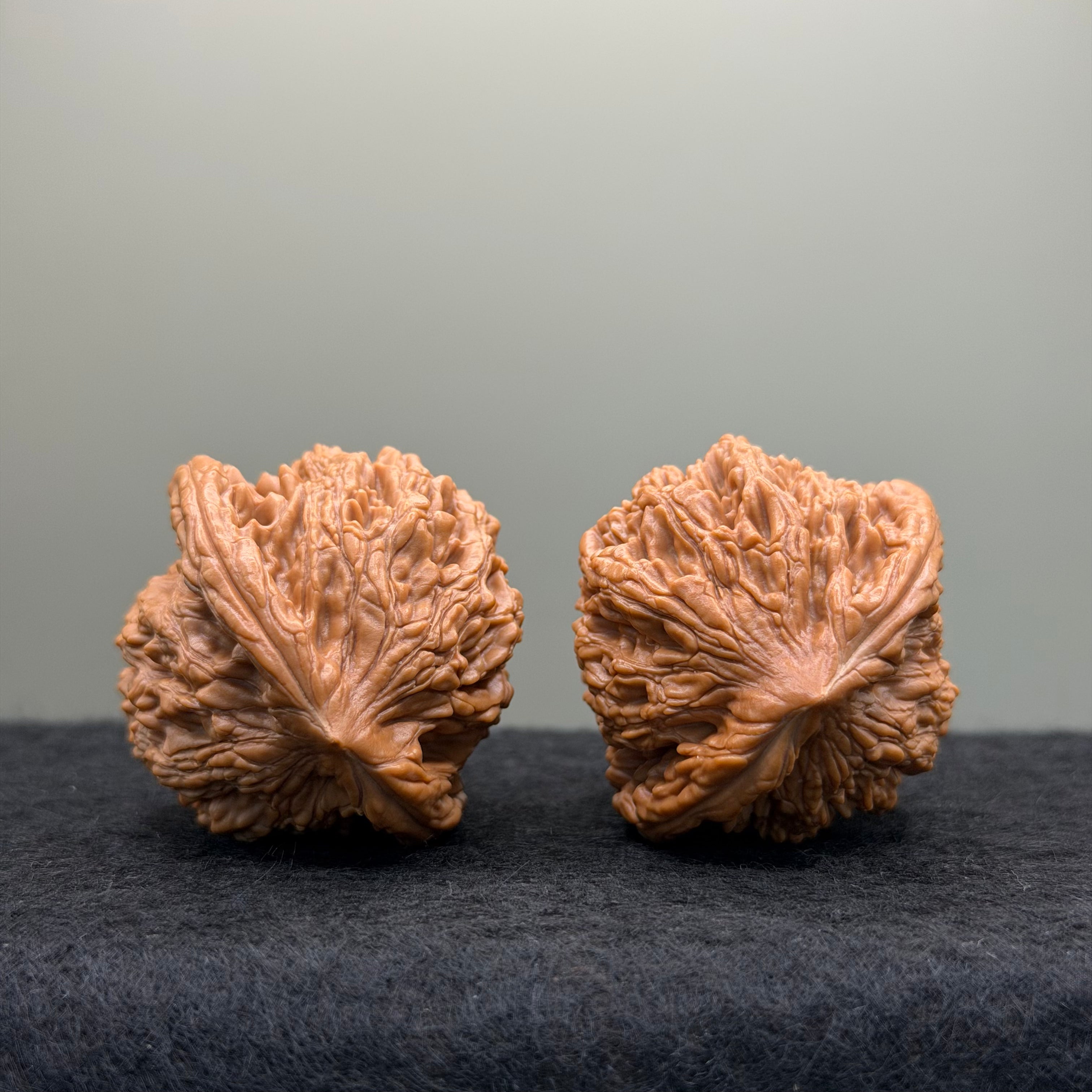 Wheat Ear Tiger Head Wenwan Walnut