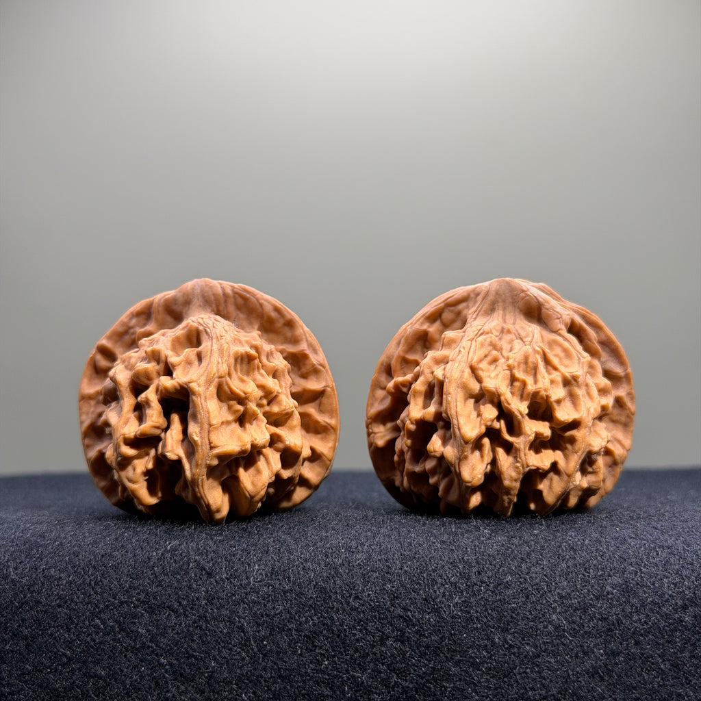 Heaven & Earth Wenwan Walnut · 40mm · Natural · Select Ritual