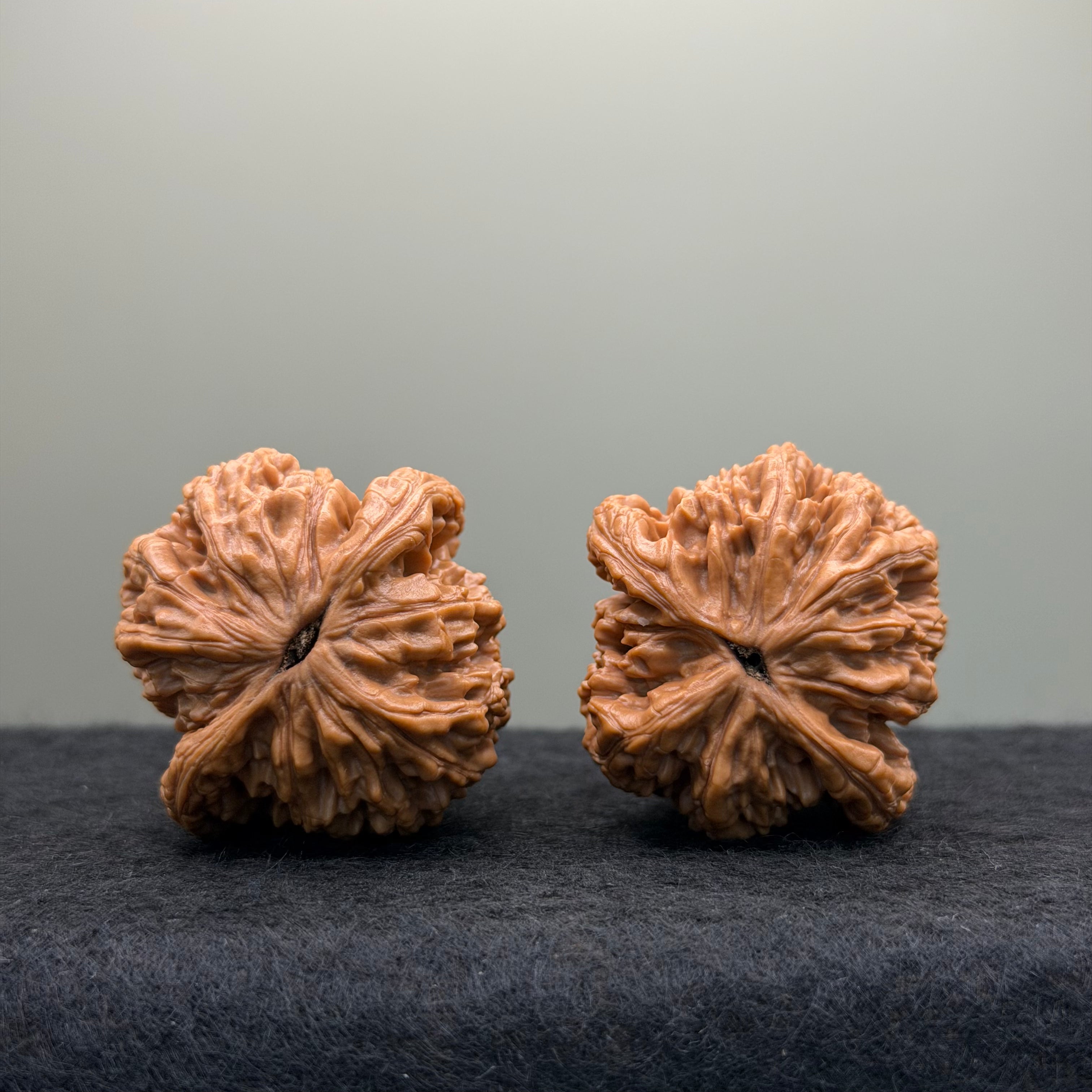 Wheat Ear Tiger Head Wenwan Walnut