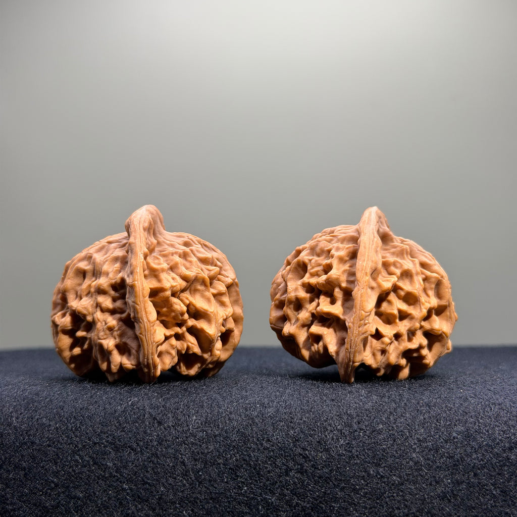 Heaven & Earth Wenwan Walnut · 40mm · Natural · Select Ritual