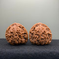 Nanjiang Stone Lion Head Wenwan Walnut