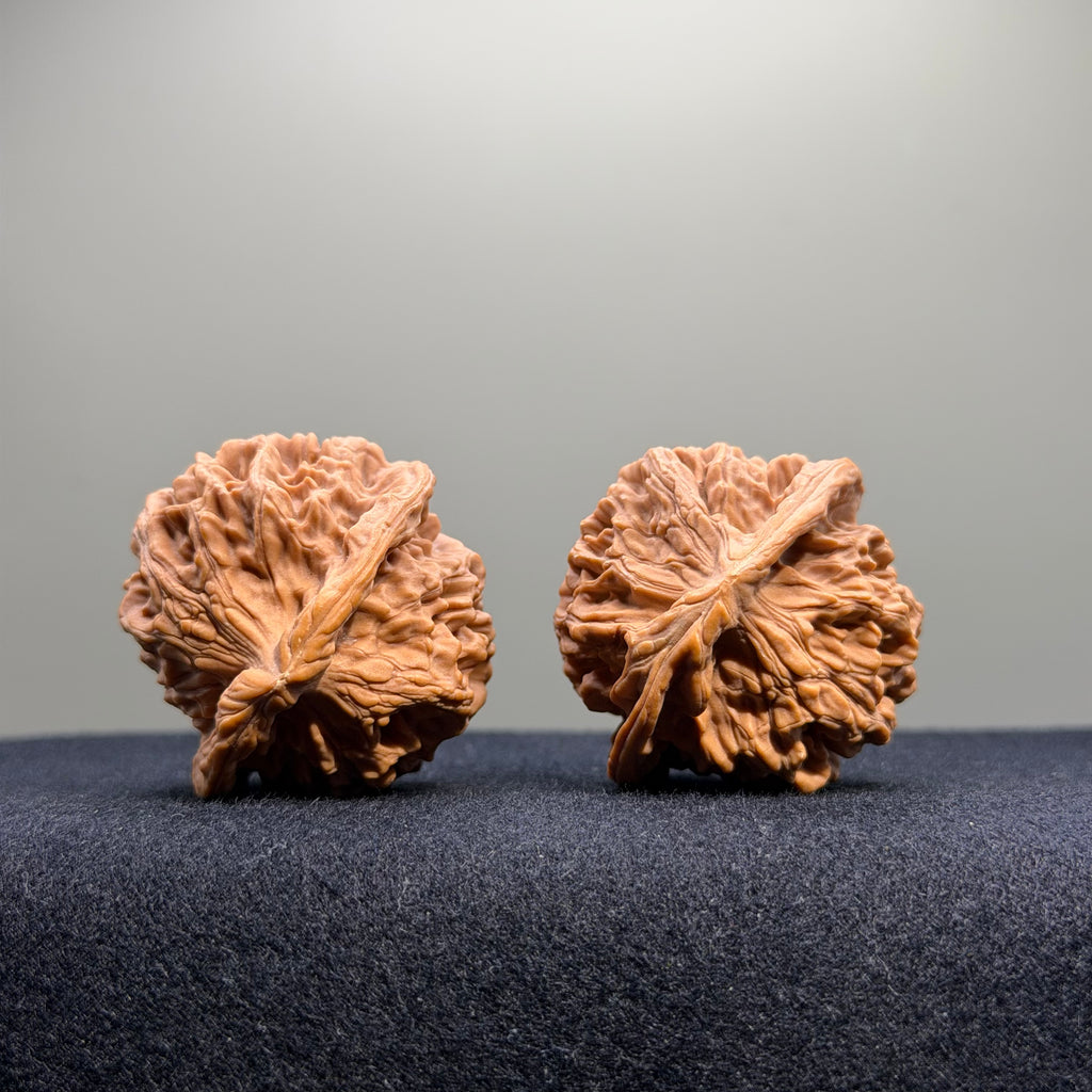 Heaven & Earth Wenwan Walnut · 40mm · Natural · Select Ritual