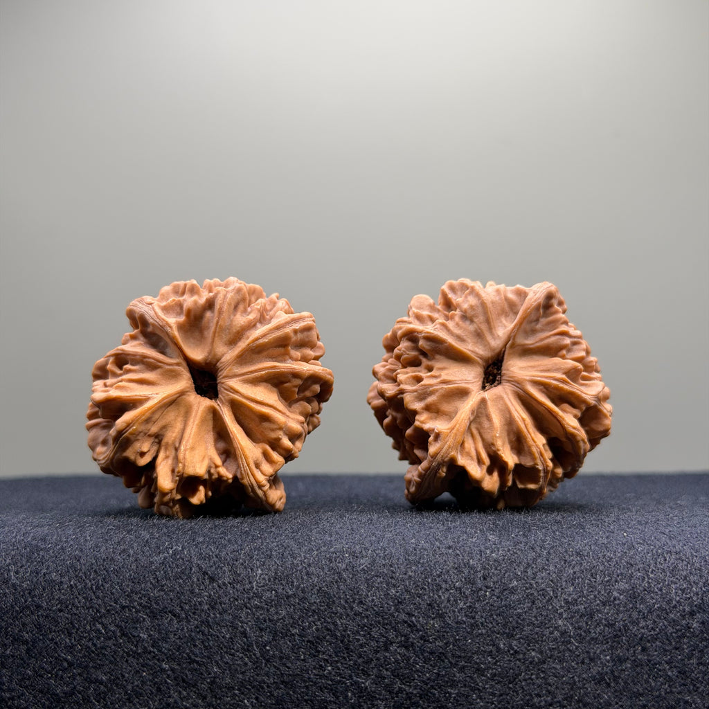 Heaven & Earth Wenwan Walnut · 40mm · Natural · Select Ritual