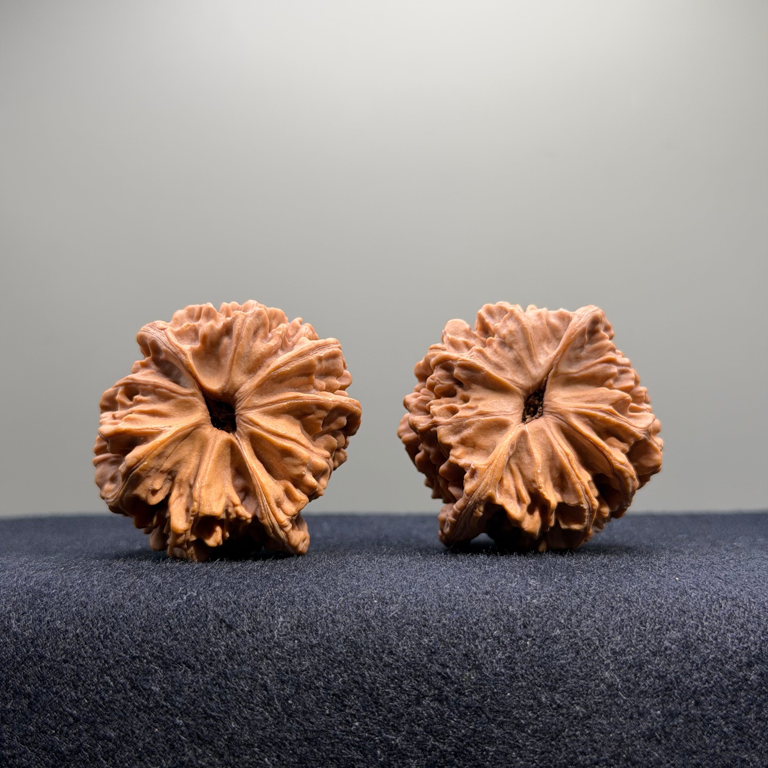 Heaven & Earth Wenwan Walnut · 40mm · Natural · Select Ritual