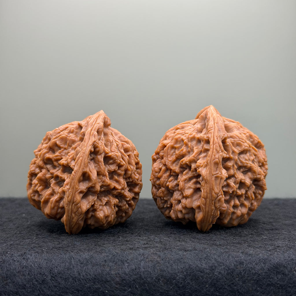 Nanjiang Stone Lion Head Wenwan Walnut