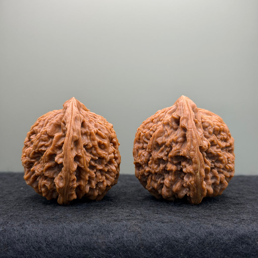 Nanjiang Stone Lion Head Wenwan Walnut
