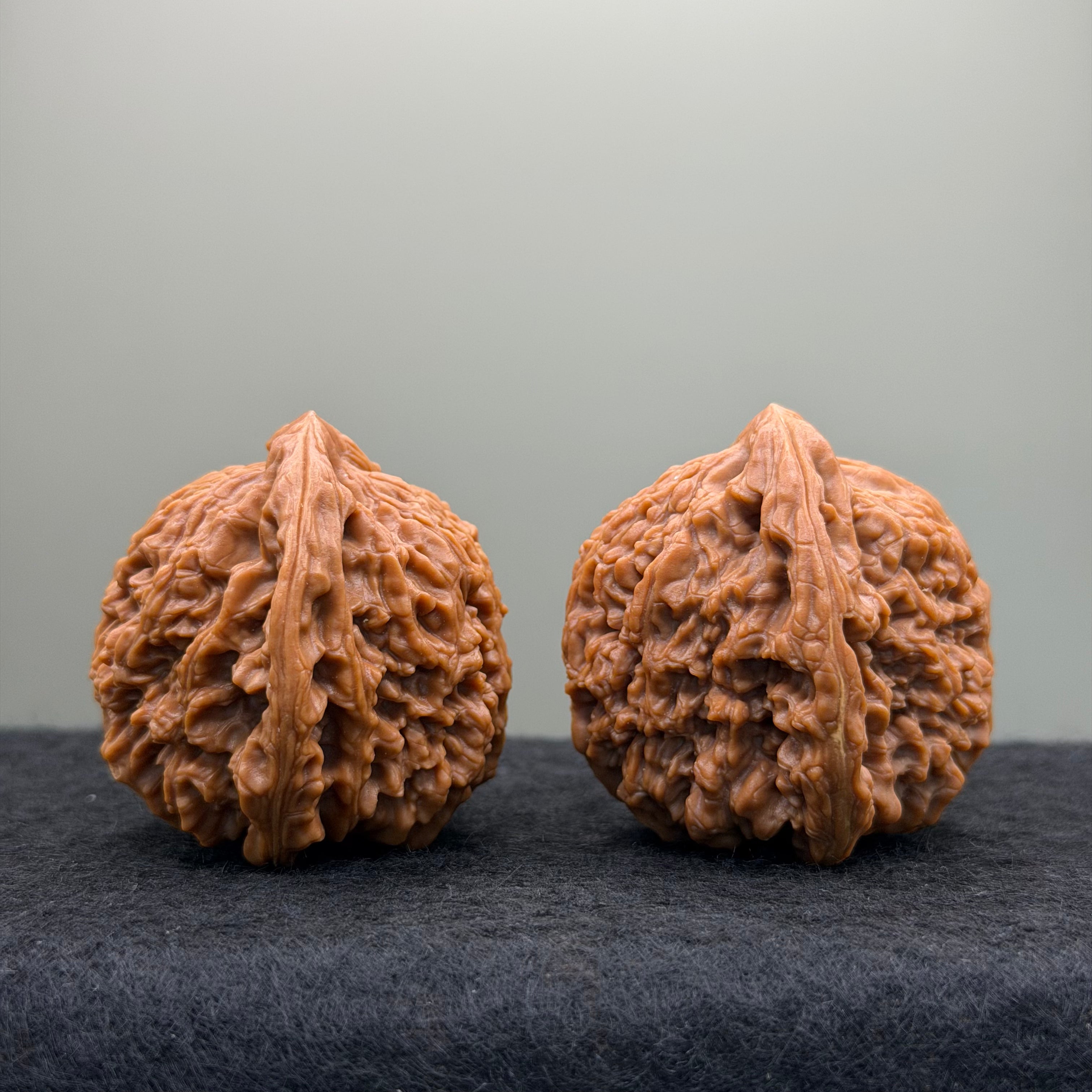 Nanjiang Stone Lion Head Wenwan Walnut