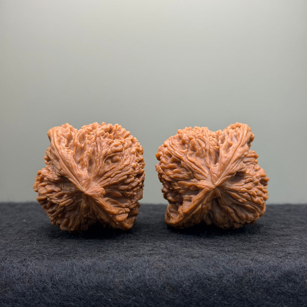Nanjiang Stone Lion Head Wenwan Walnut
