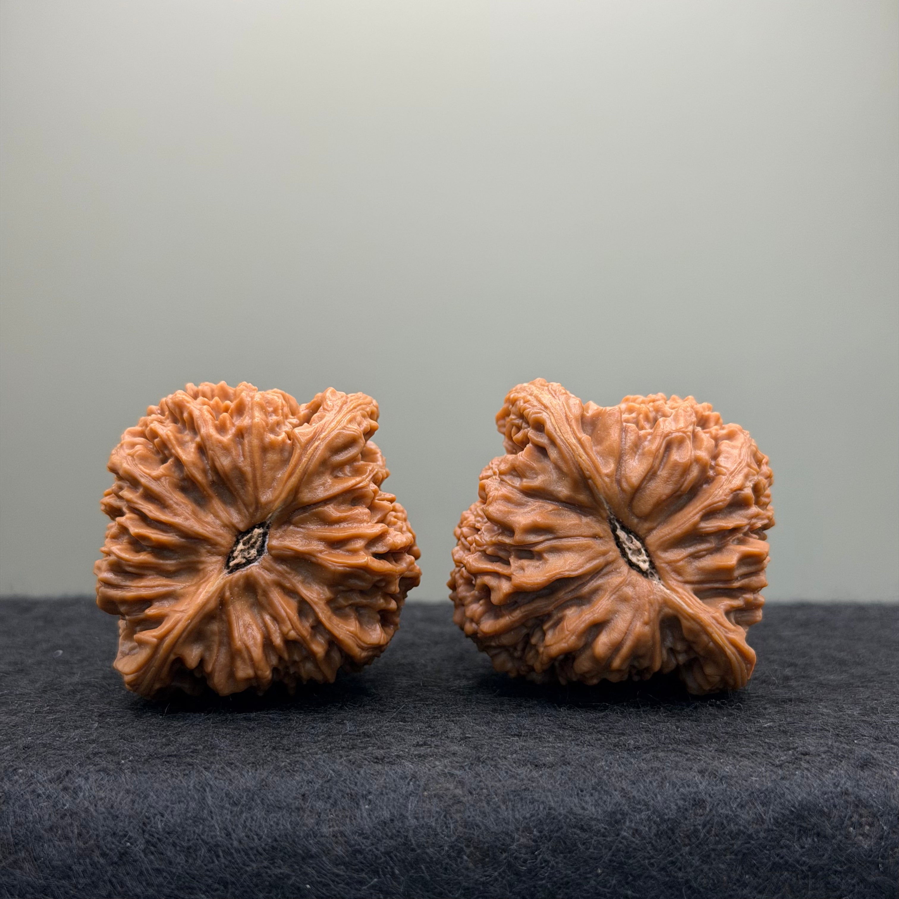 Nanjiang Stone Lion Head Wenwan Walnut