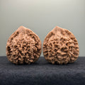 Official Hat Wenwan Walnut