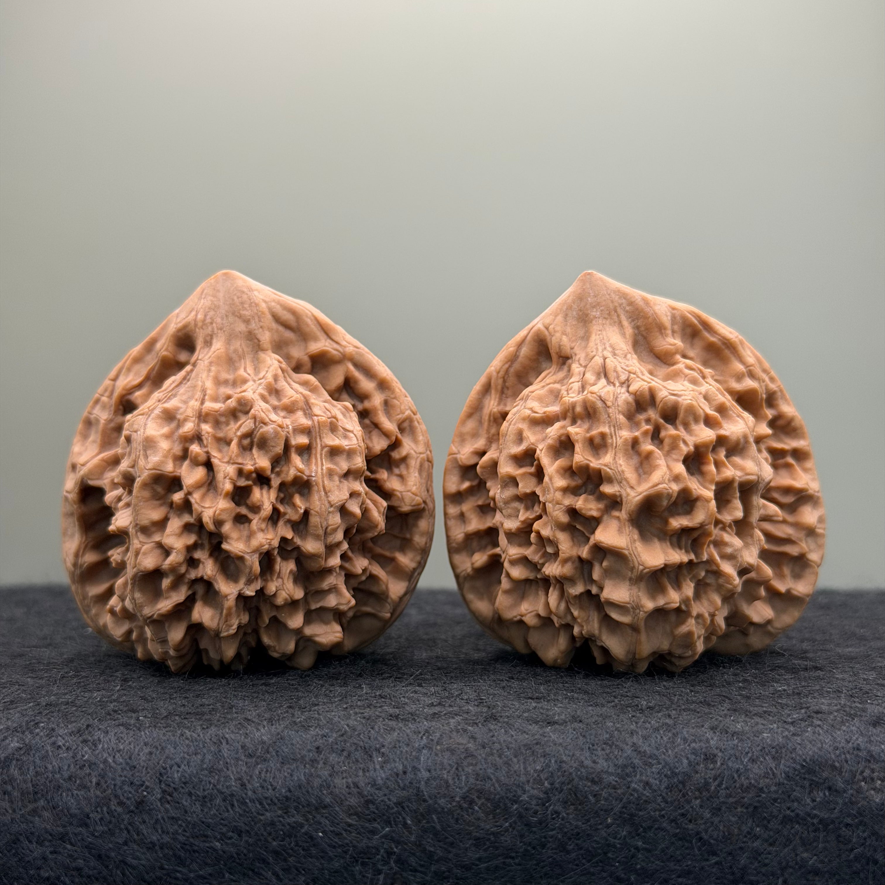 Official Hat Wenwan Walnut