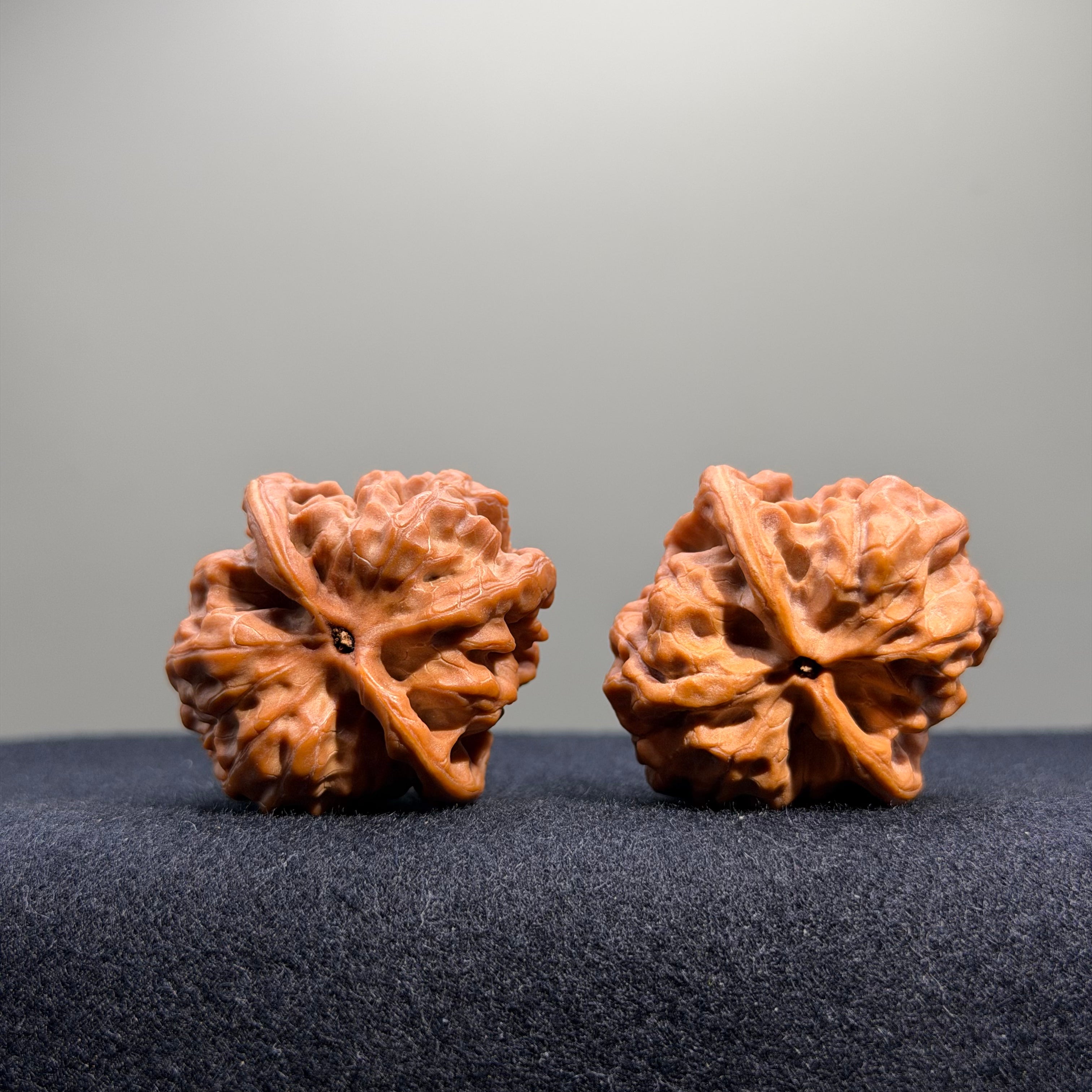 Bedrock Wenwan Walnut · 35mm · Natural · Premium Ritual