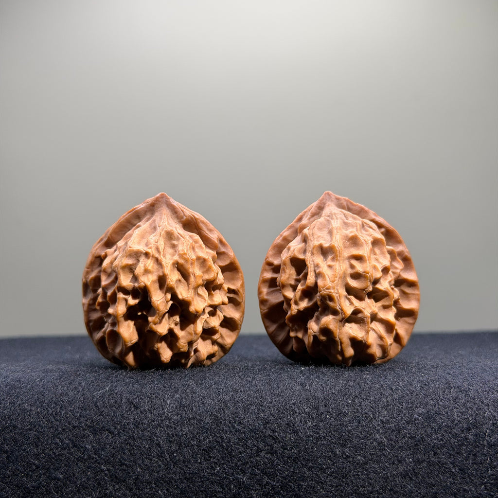 Dragon Scale Lion Head Wenwan Walnut · 34mm · Natural · Collector Ritual