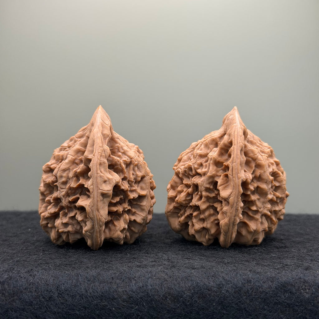 Official Hat Wenwan Walnut