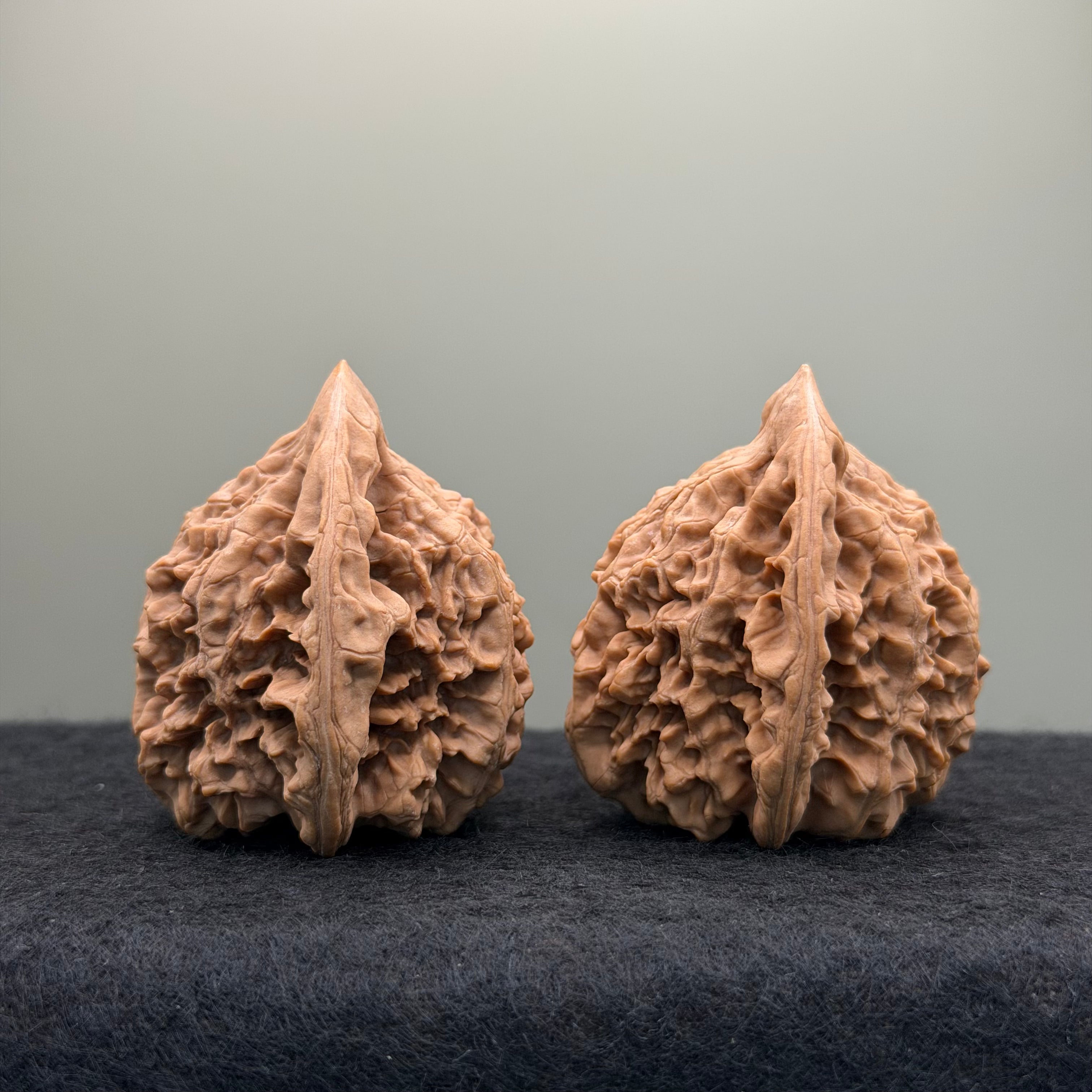 Official Hat Wenwan Walnut