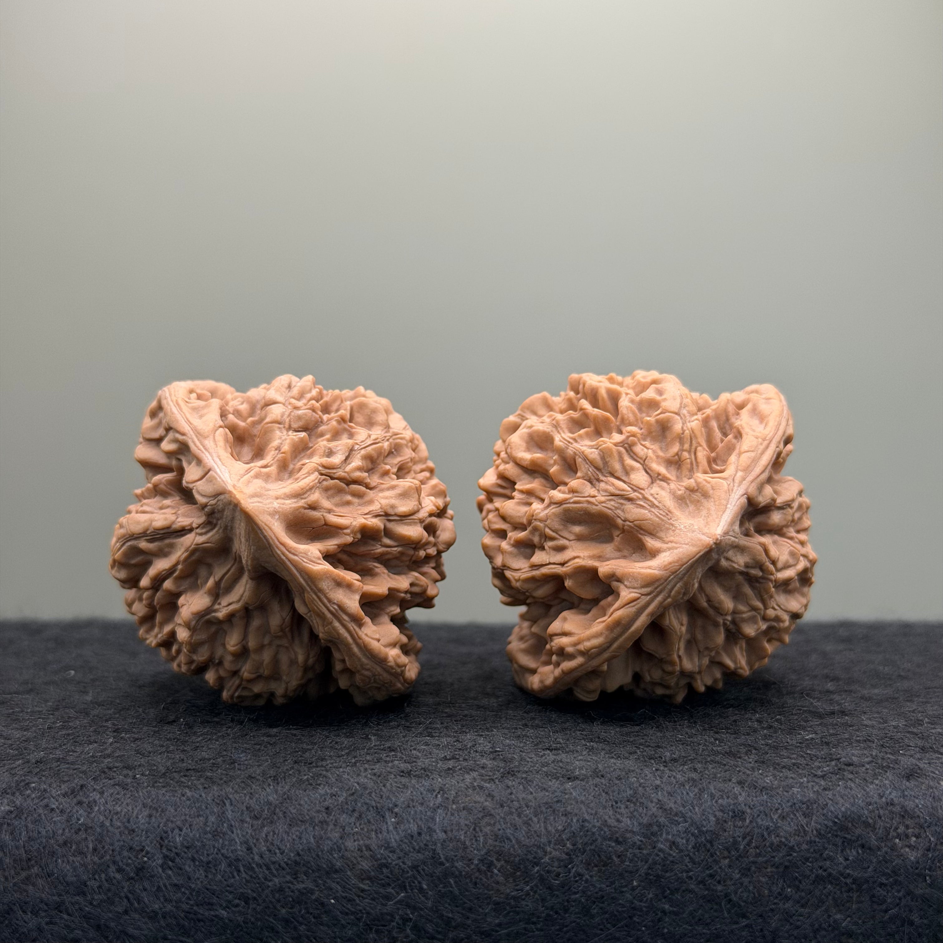 Official Hat Wenwan Walnut