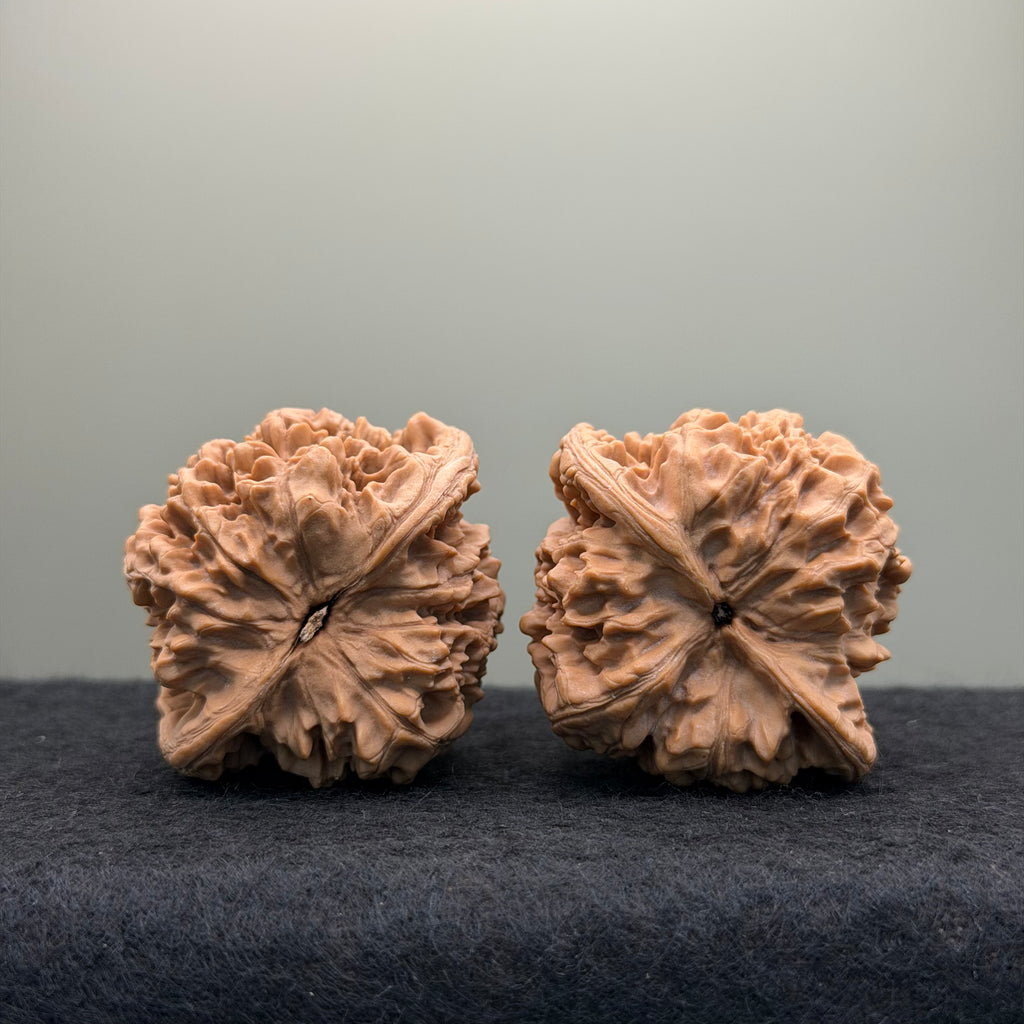 Official Hat Wenwan Walnut