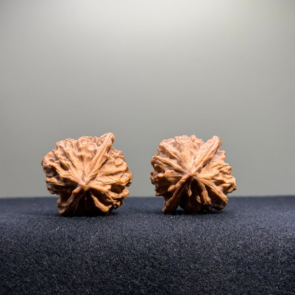 Dragon Scale Lion Head Wenwan Walnut · 34mm · Natural · Collector Ritual