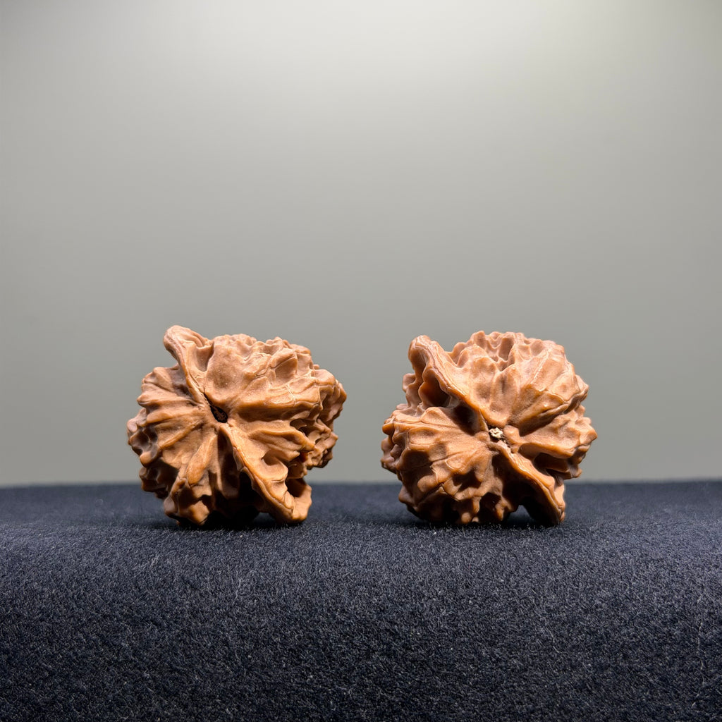 Dragon Scale Lion Head Wenwan Walnut · 34mm · Natural · Collector Ritual