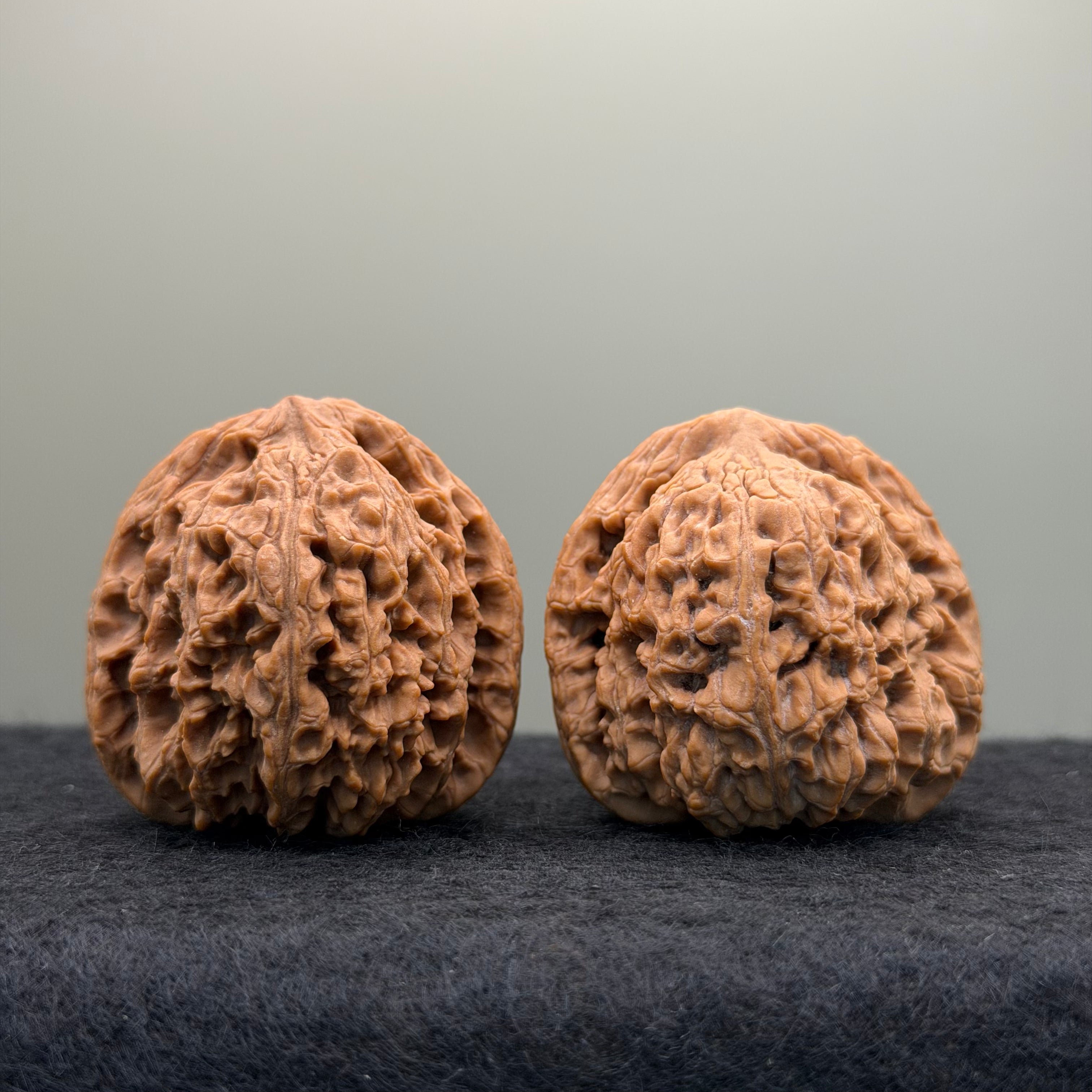 Nanjiang Stone Lion Head Wenwan Walnut