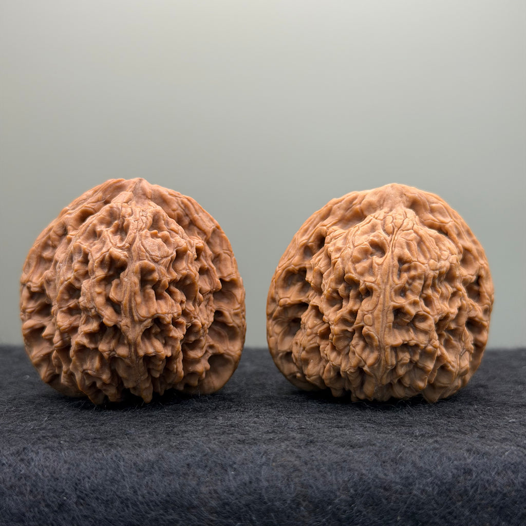 Nanjiang Stone Lion Head Wenwan Walnut
