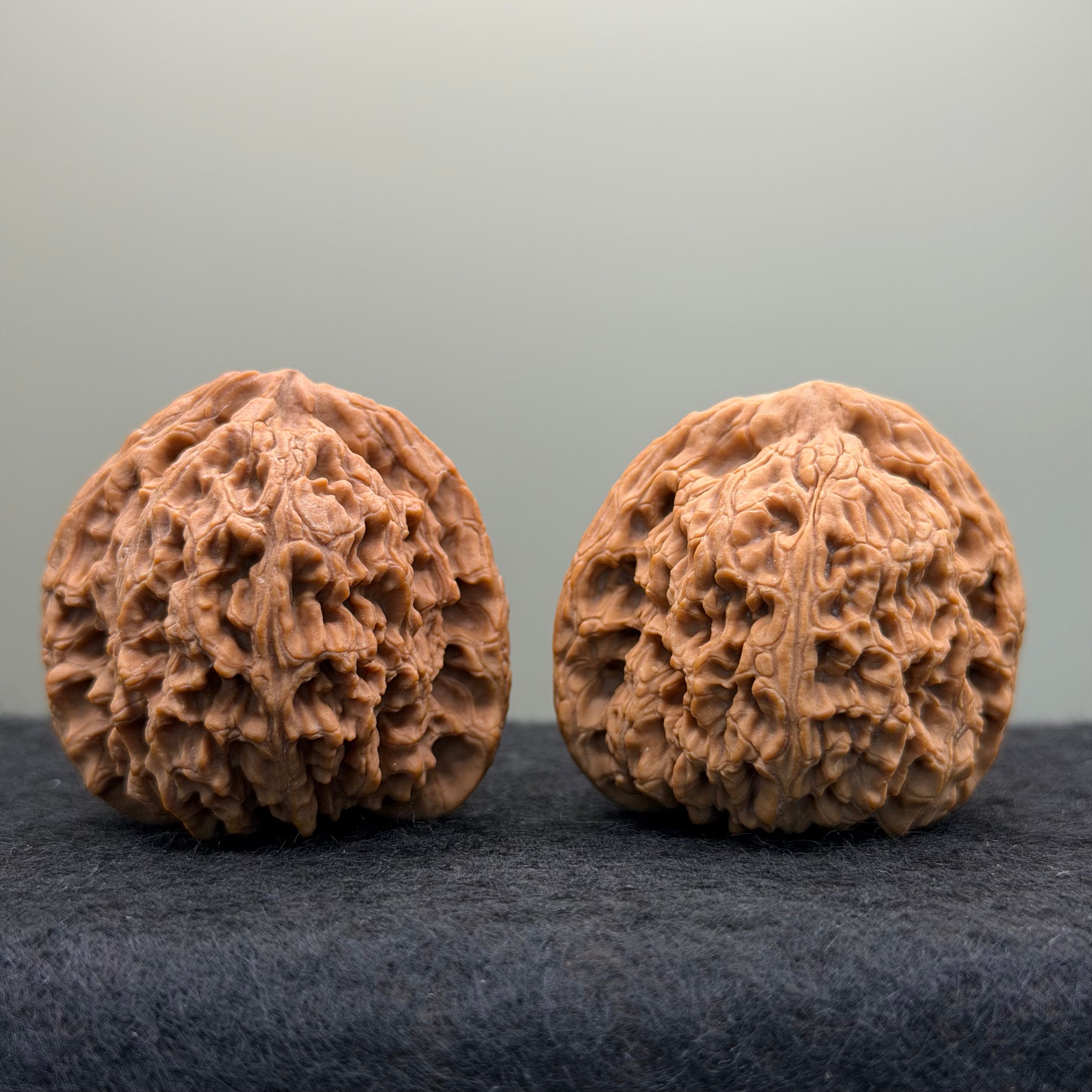 Nanjiang Stone Lion Head Wenwan Walnut