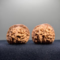 Heaven & Earth Wenwan Walnut · 39mm · Natural · Entry Ritual