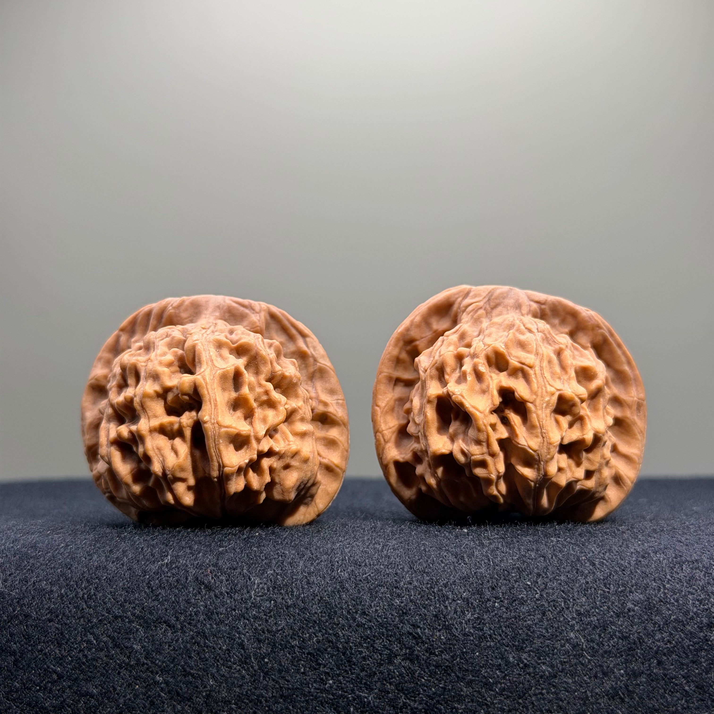 Heaven & Earth Wenwan Walnut · 39mm · Natural · Entry Ritual