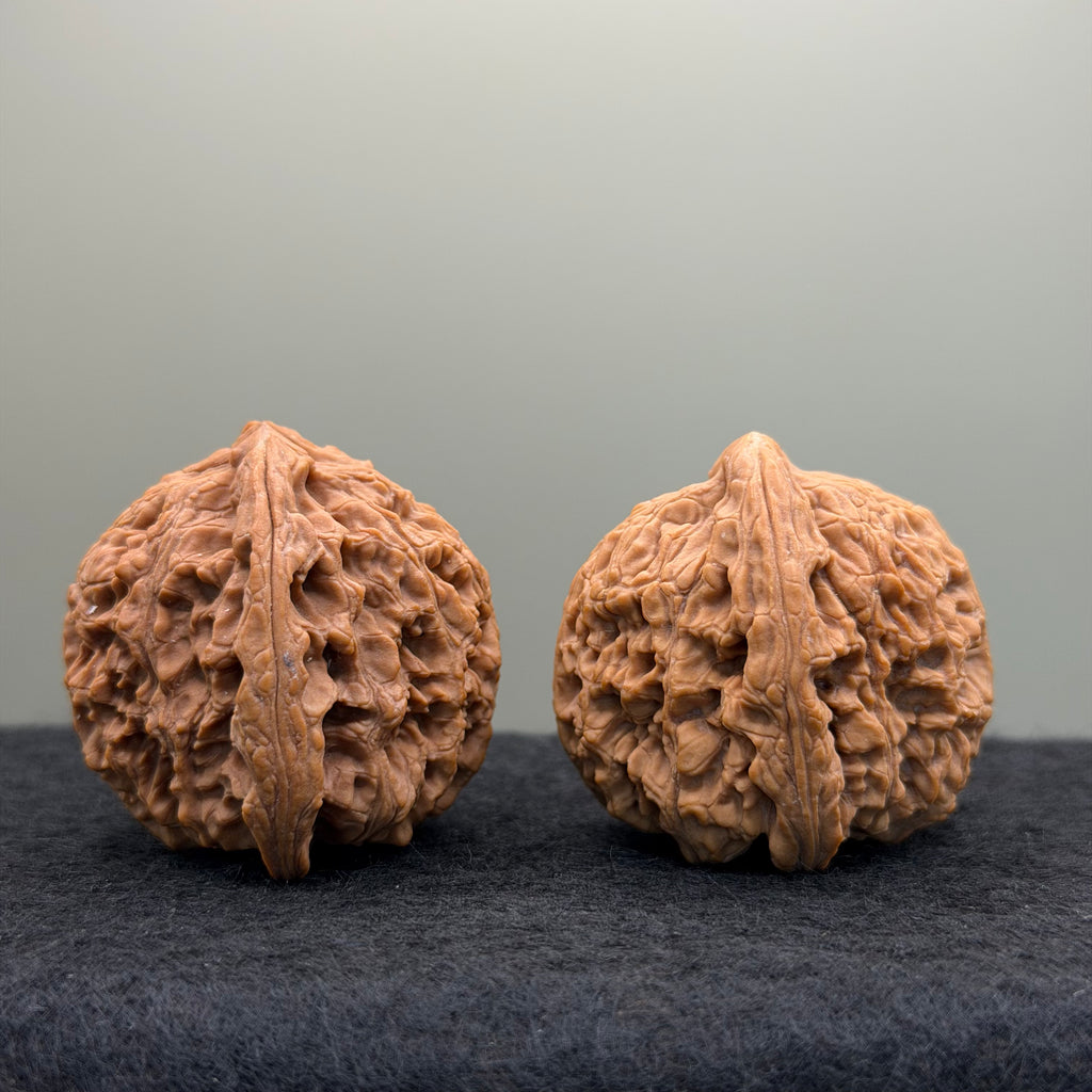 Nanjiang Stone Lion Head Wenwan Walnut