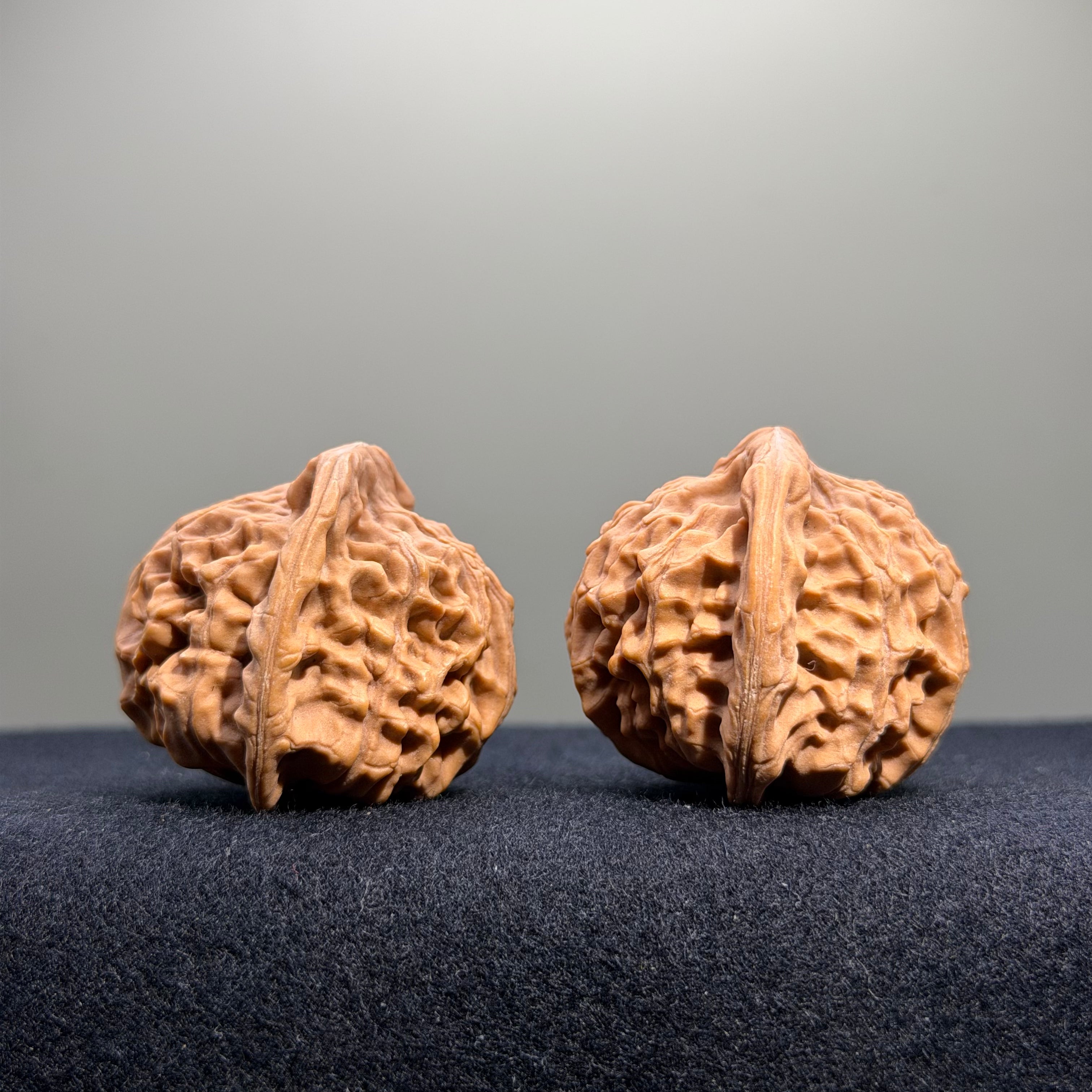 Heaven & Earth Wenwan Walnut · 39mm · Natural · Entry Ritual