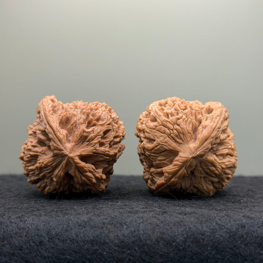Nanjiang Stone Lion Head Wenwan Walnut
