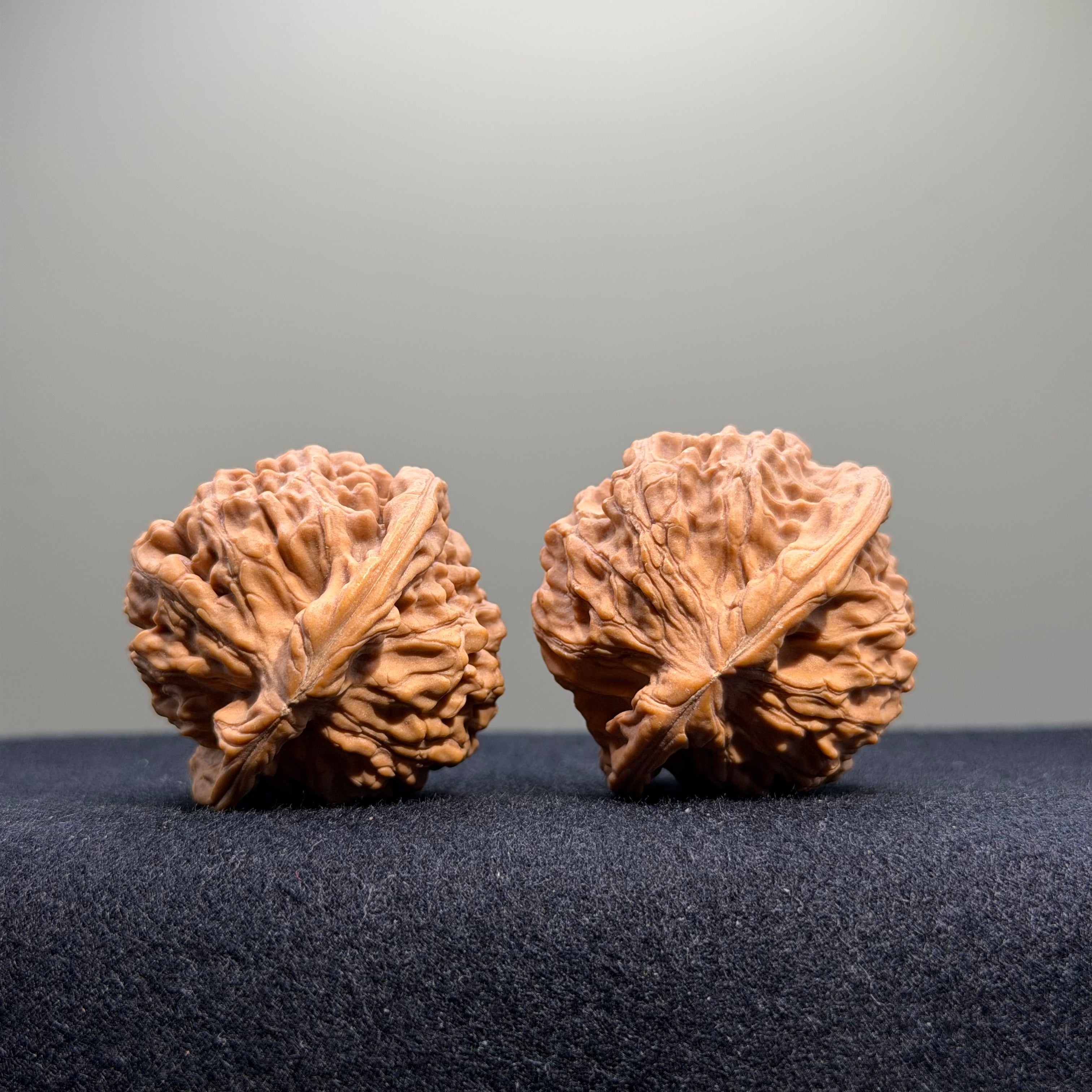 Heaven & Earth Wenwan Walnut · 39mm · Natural · Entry Ritual